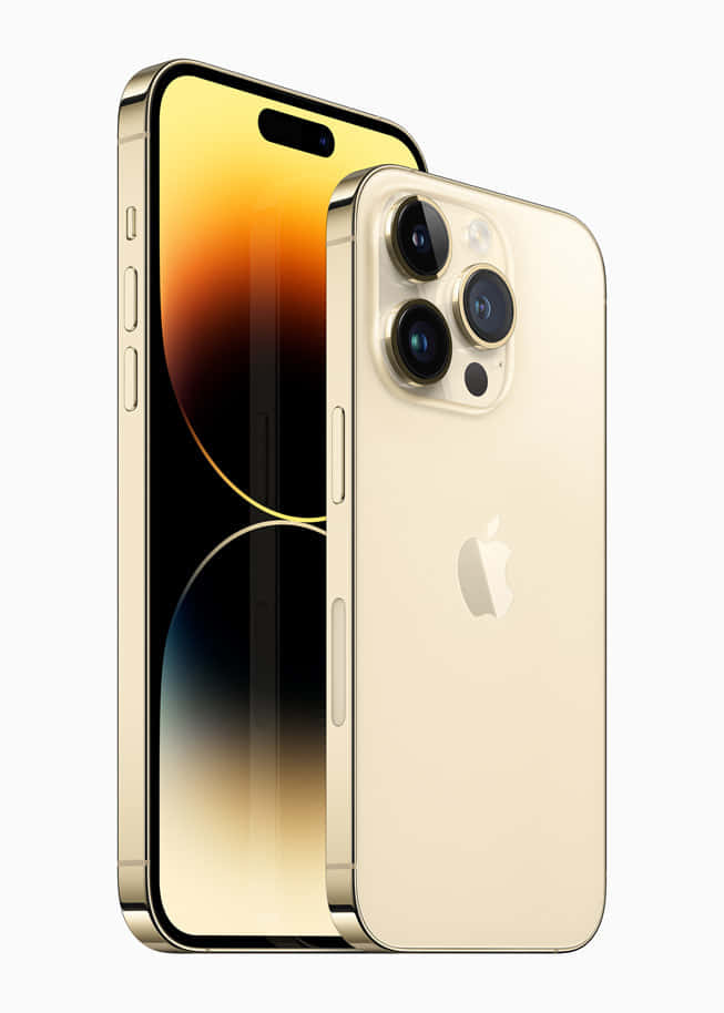 最新款 iPhone 壁紙 — 金色 iPhone 14 Pro 從正面和背面展示，背景為純白色，螢幕顯示漸變色。