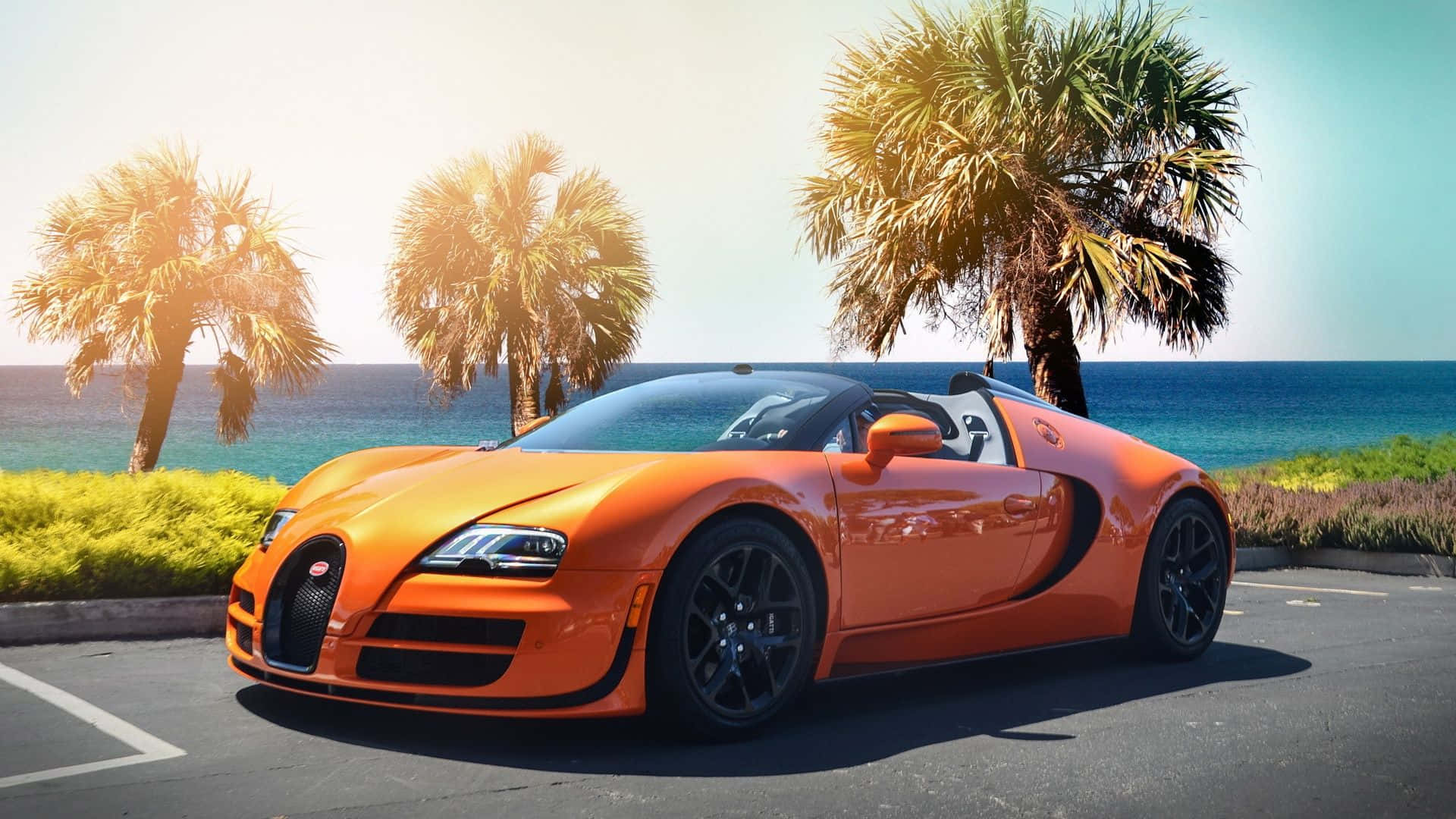 橙色Bugatti Veyron開篷跑車停泊在海邊的棕櫚樹附近。
