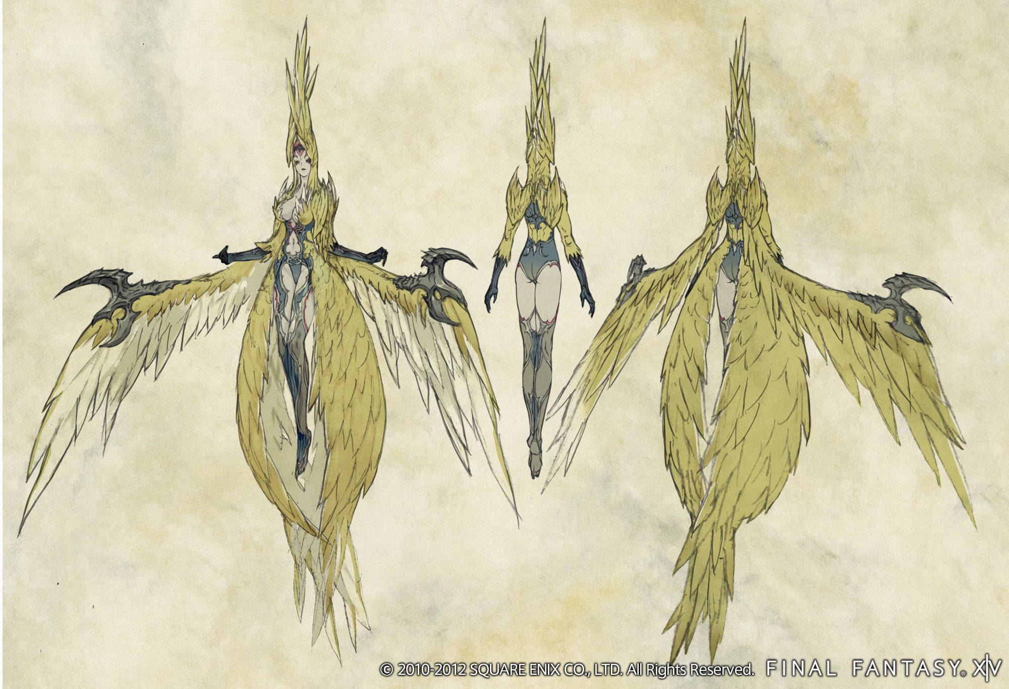 《最終幻想14》中的威猛迦樓羅 壁紙 — 來自《Final Fantasy XIV》的金色羽毛鳥類人形角色的三個插圖視圖。