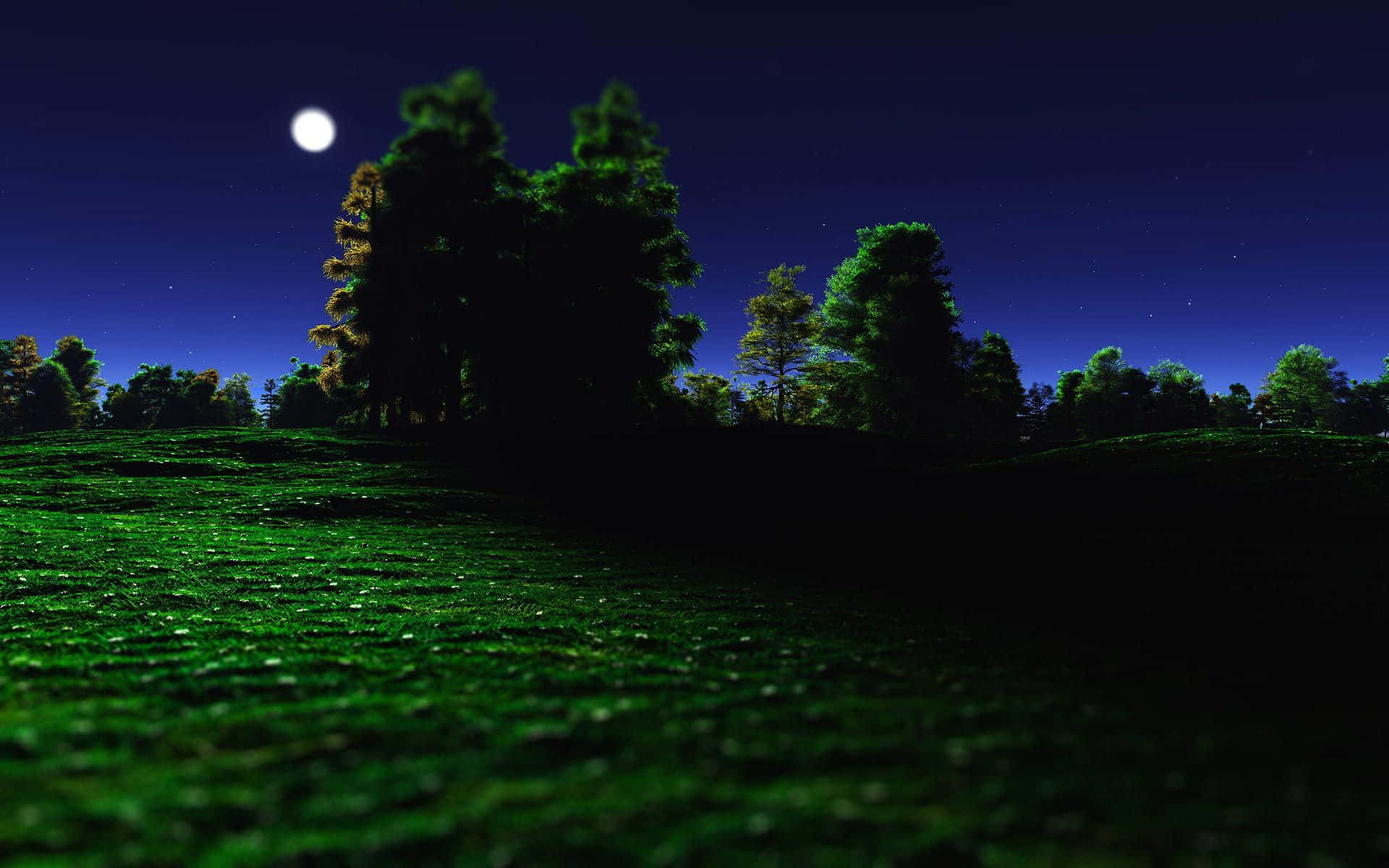月光 桌布 壁紙 — 月光下的一片翠綠草地，星空夜幕下遠方有樹木剪影。