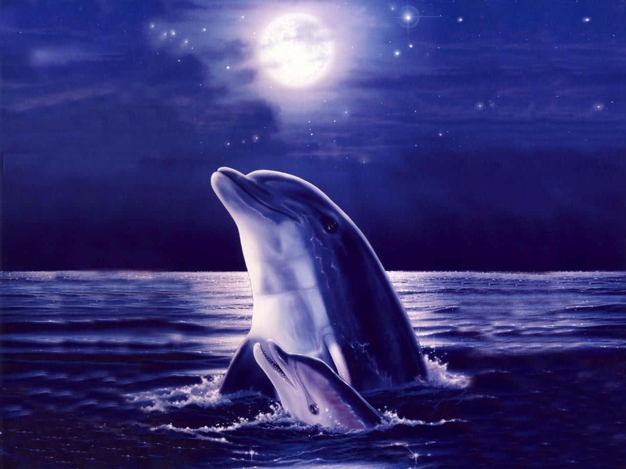 兩隻海豚在明亮的月亮和星星下優雅地從海浪中躍起。