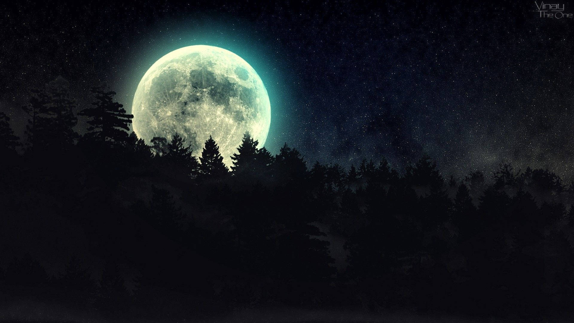 一輪巨大的發光月亮在星空下夜間從黑暗森林後升起。