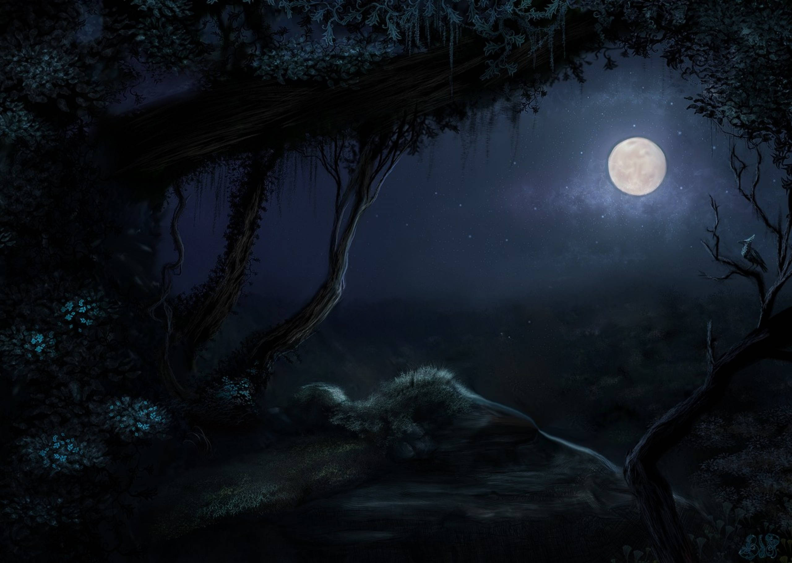 Moon Night Sky 桌布 壁紙 — 月光下的森林場景，扭曲的樹木框住了一輪發光的滿月，懸掛在霧氣瀰漫的河流之上，背景是繁星點點的夜空。