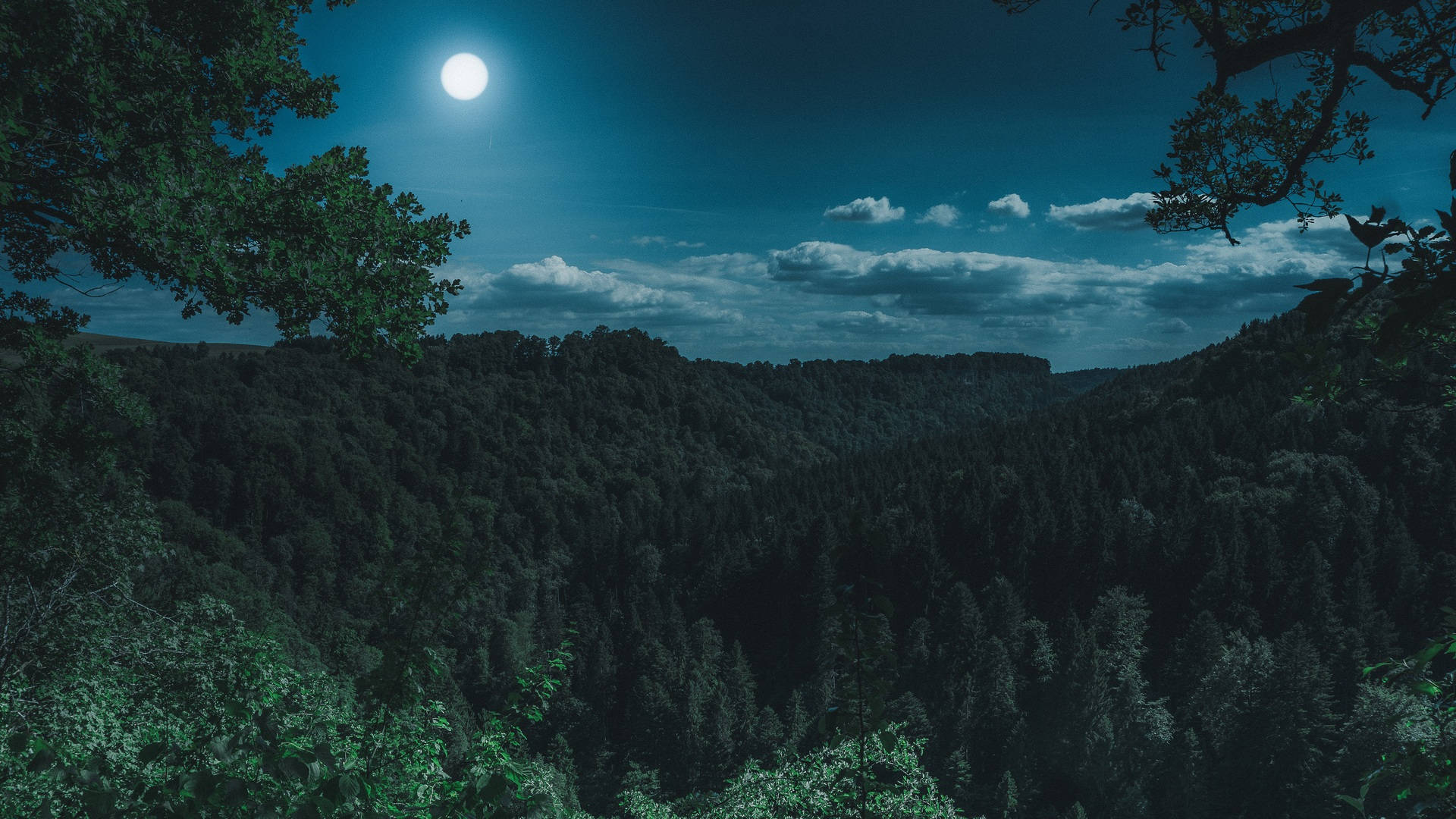 月光下的森林風景 壁紙 — 一輪滿月照亮了茂密的森林山谷，背景是深藍色的夜空，散佈著幾朵雲。