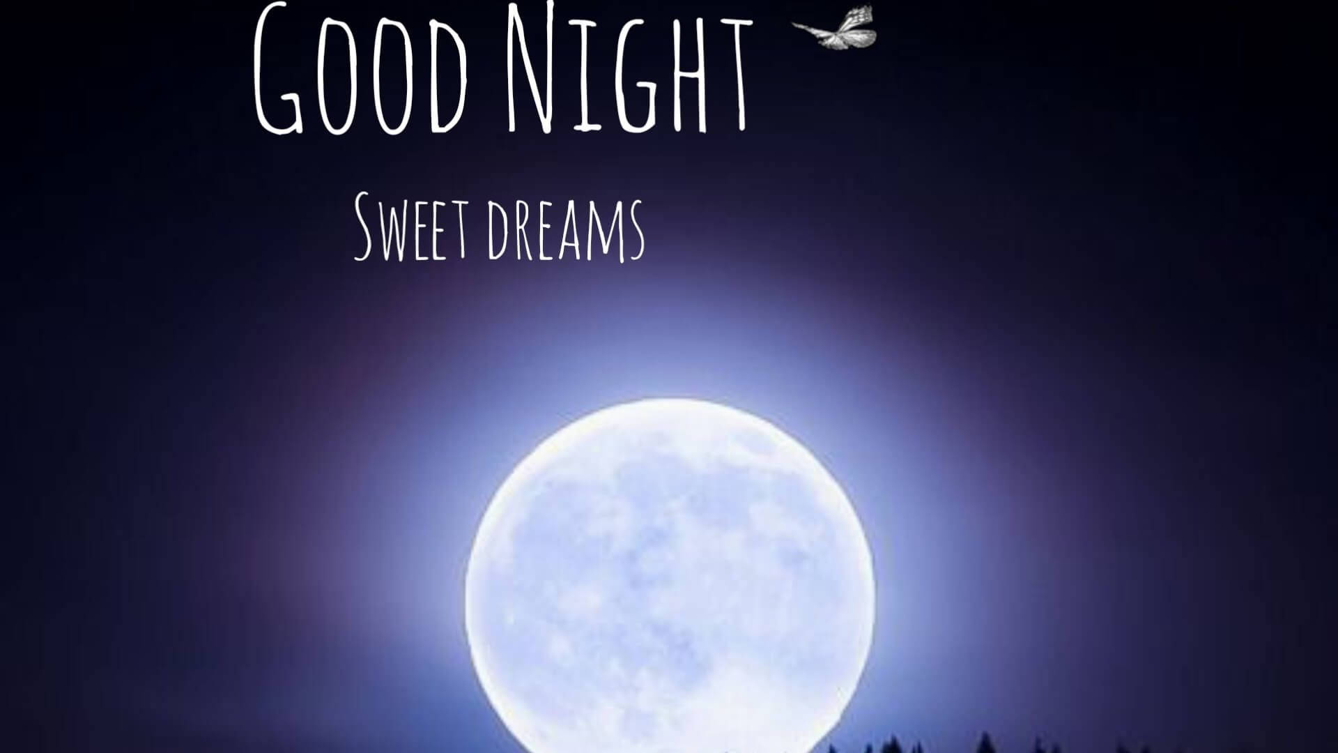 月光下的甜夢 壁紙 — 寧靜的夜空中有明亮的滿月，上面寫著「晚安，甜美的夢」，還有一隻小鳥在飛翔。