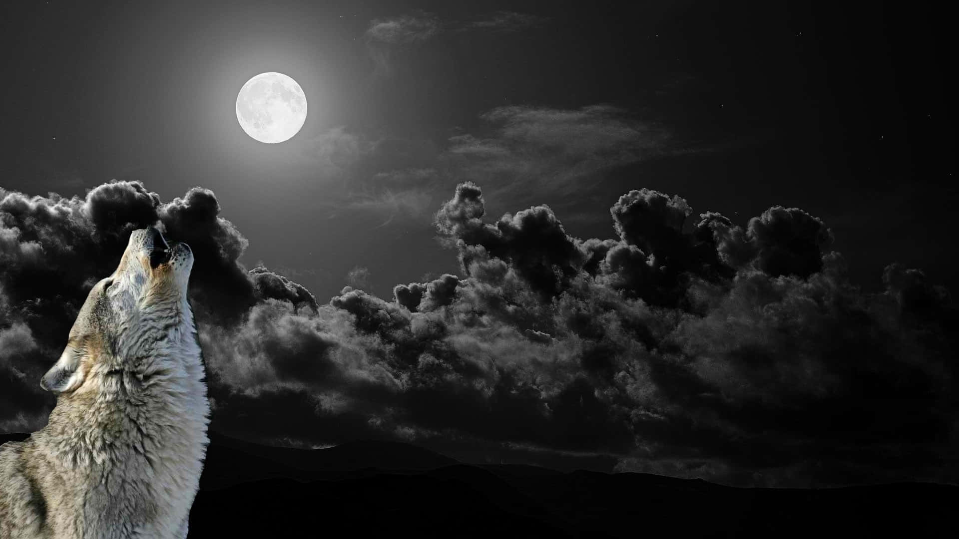 狼在黑夜中對著月亮嚎叫，烏雲密佈
