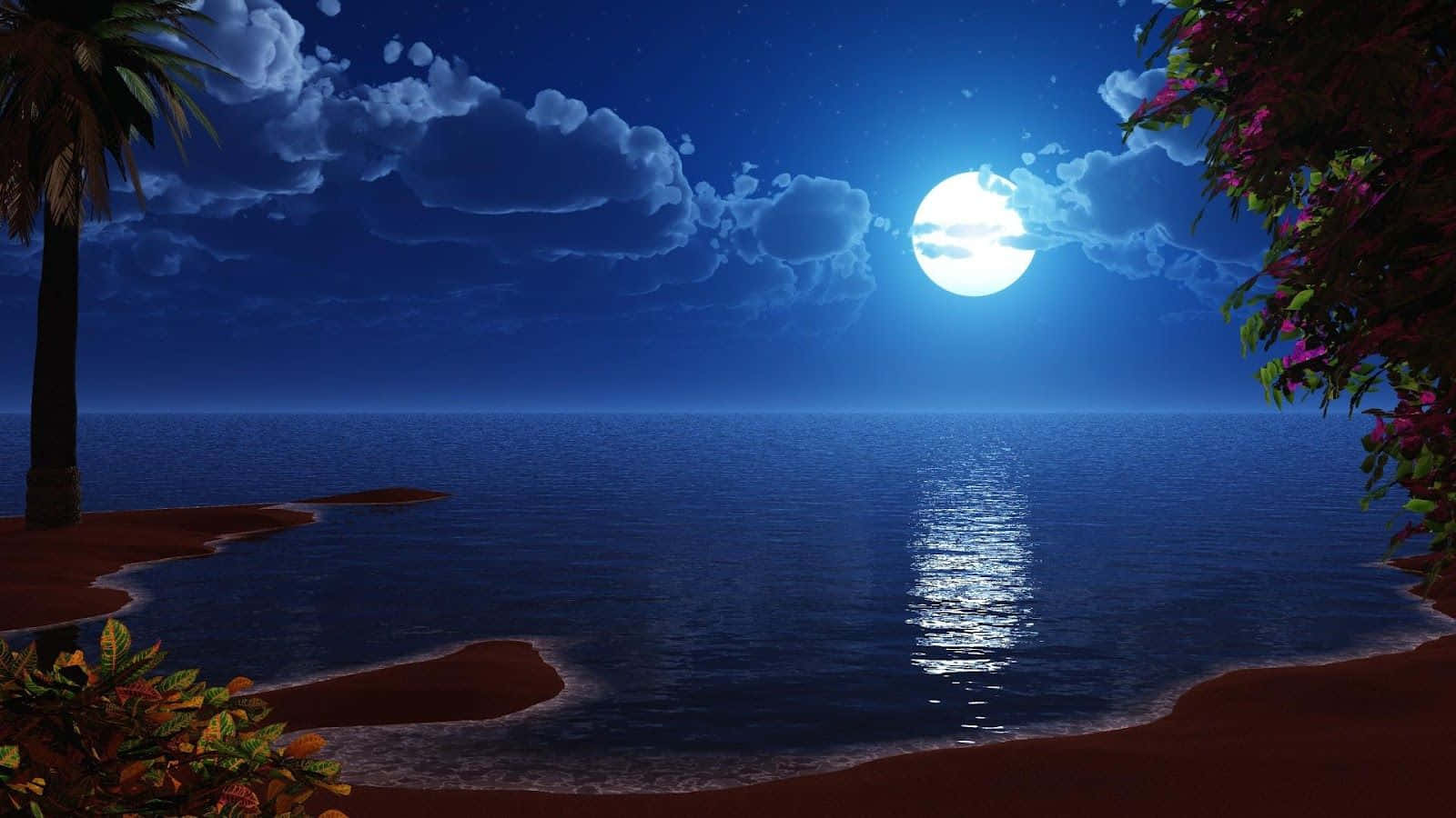 月光灑落棕櫚樹與海灘 壁紙 — 一個寧靜的月光海灘場景，滿月在平靜的海面上投射出閃爍的光芒，周圍環繞著棕櫚樹和開花的灌木叢。