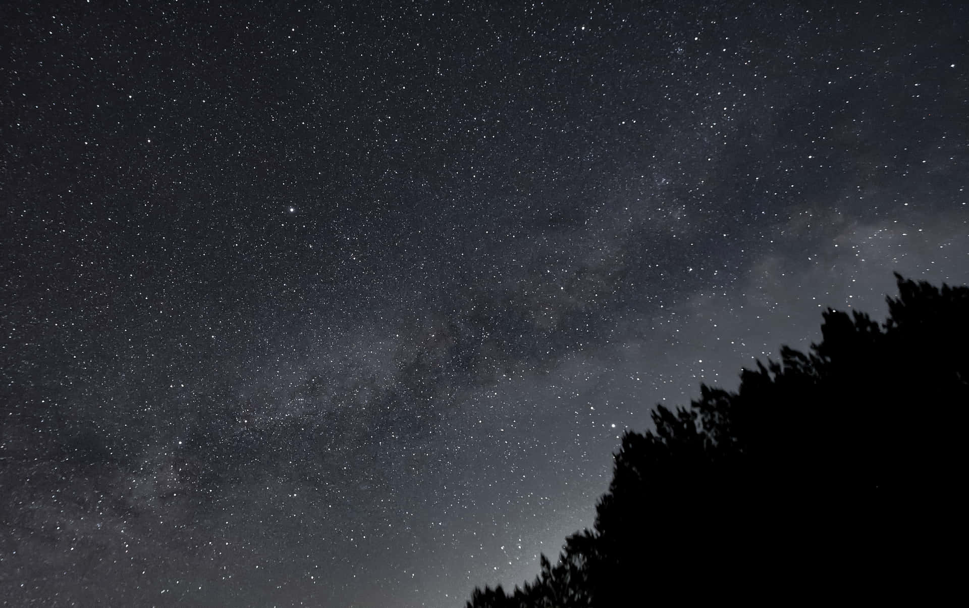 星空夜空，銀河在樹木剪影之上