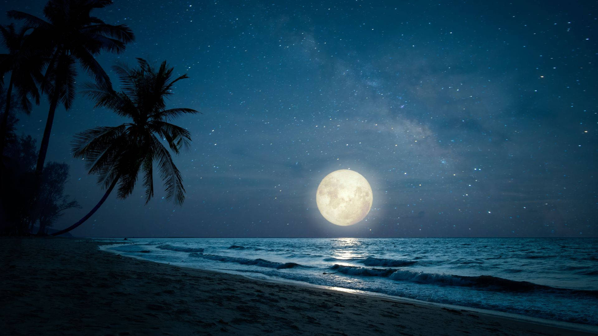 滿月照耀平靜的海洋，沙灘上的棕櫚樹在星空下