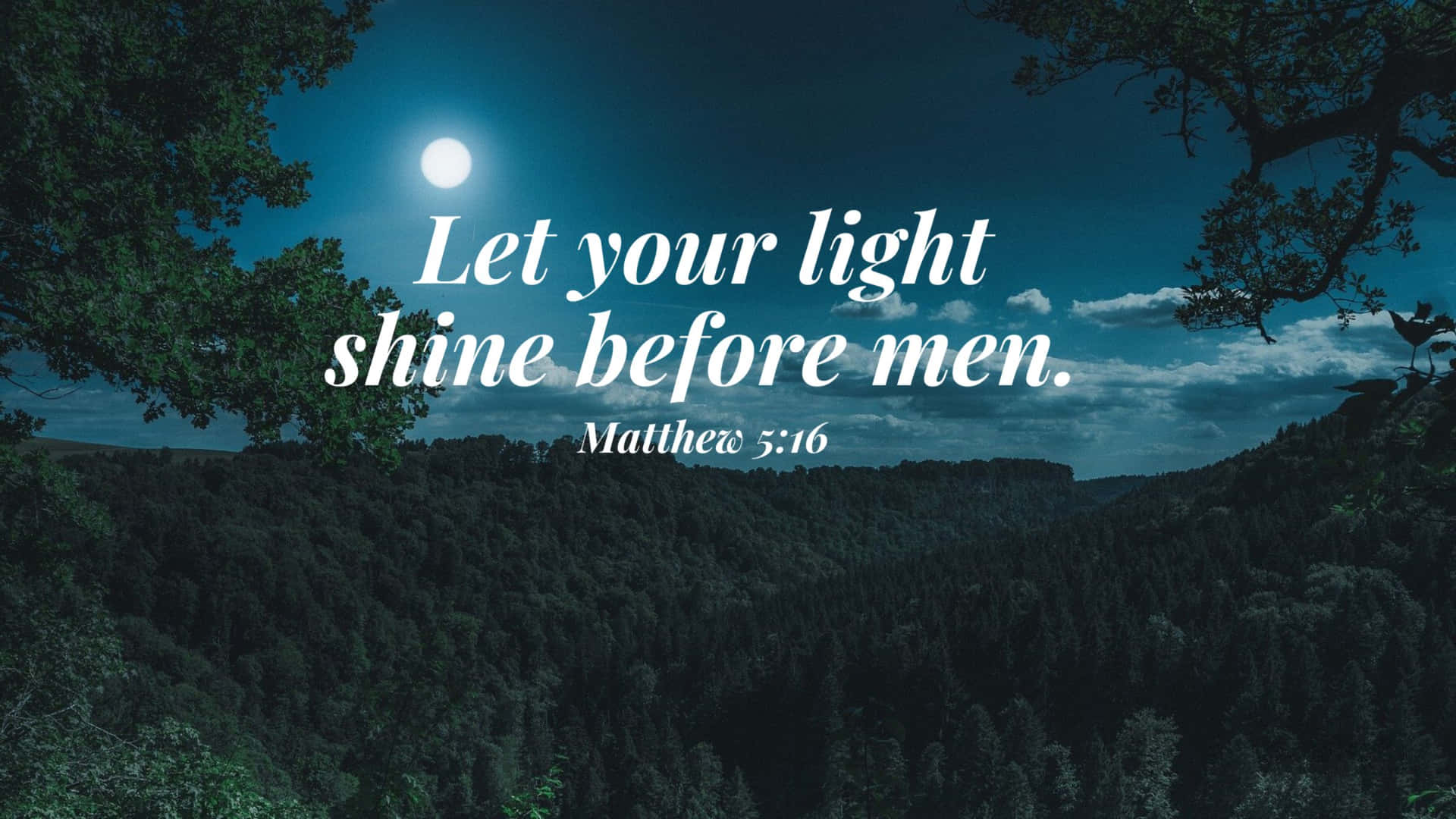 Bible Verse Desktop 桌布 壁紙 — 月光照耀下的森林山谷，被樹木環繞，帶有在夜空中發光的勵志文字。