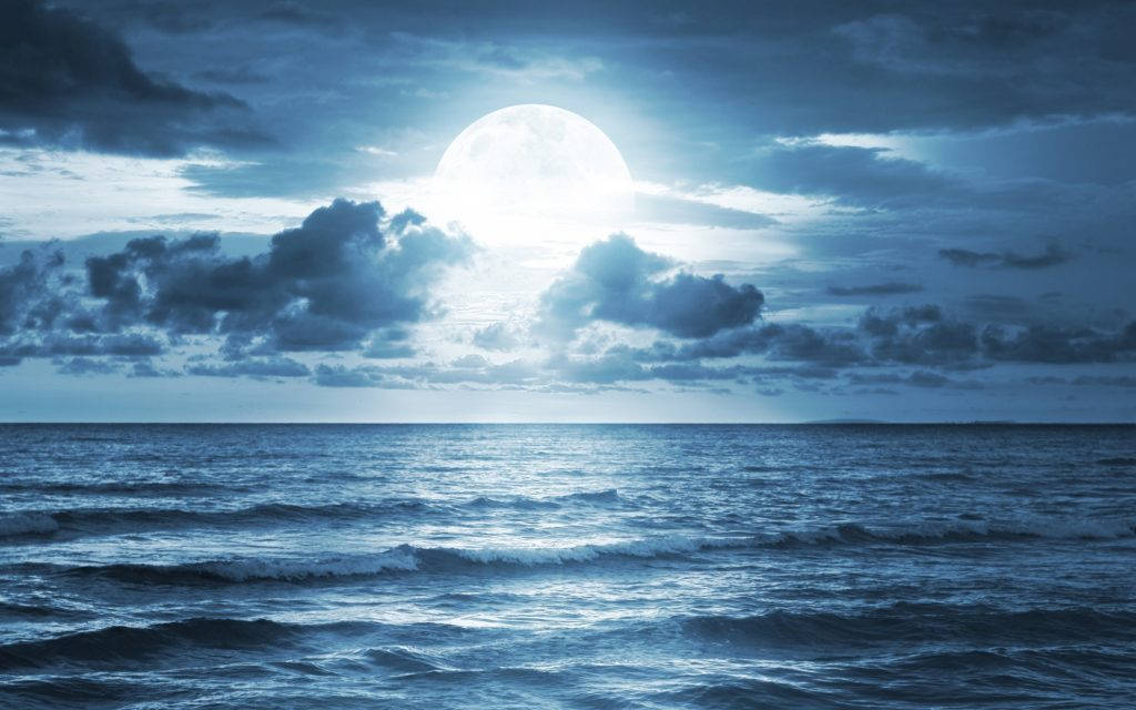月光在陰暗的夜空下照耀著黑暗的海洋。