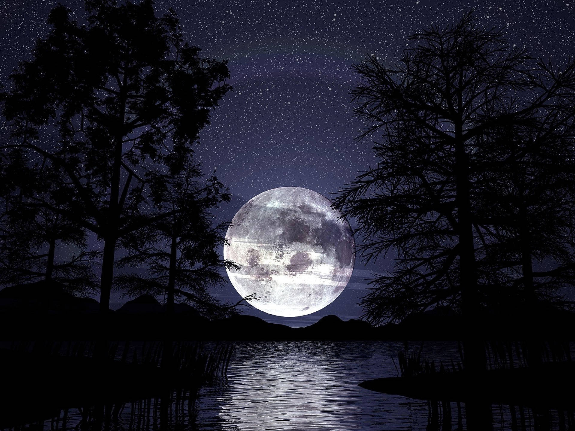 月光穿林倒影湖面 壁紙 — 一輪明亮的滿月在繁星點點的夜空下，從被樹木剪影環繞的寧靜湖面升起。