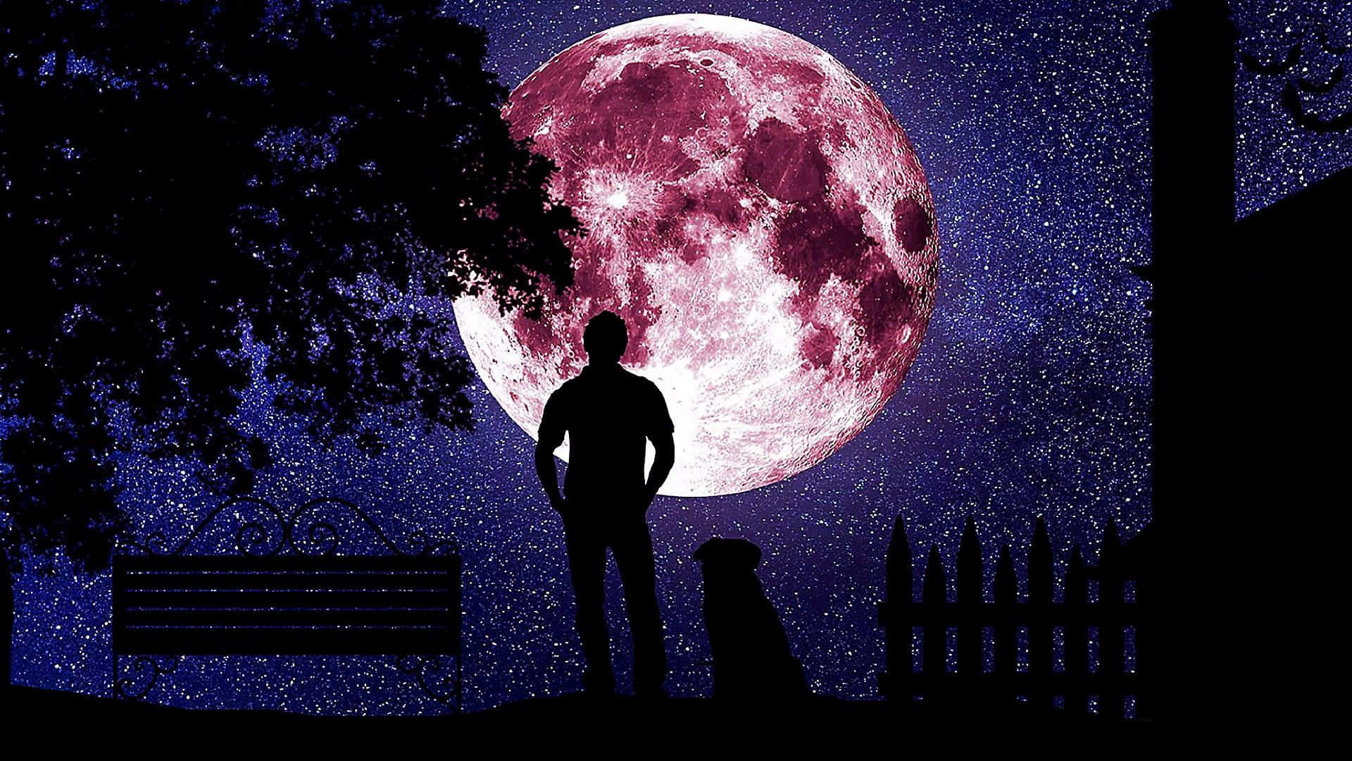 一個人和一隻狗在星光熠熠的夜空下仰望巨大粉紅色月亮的剪影。