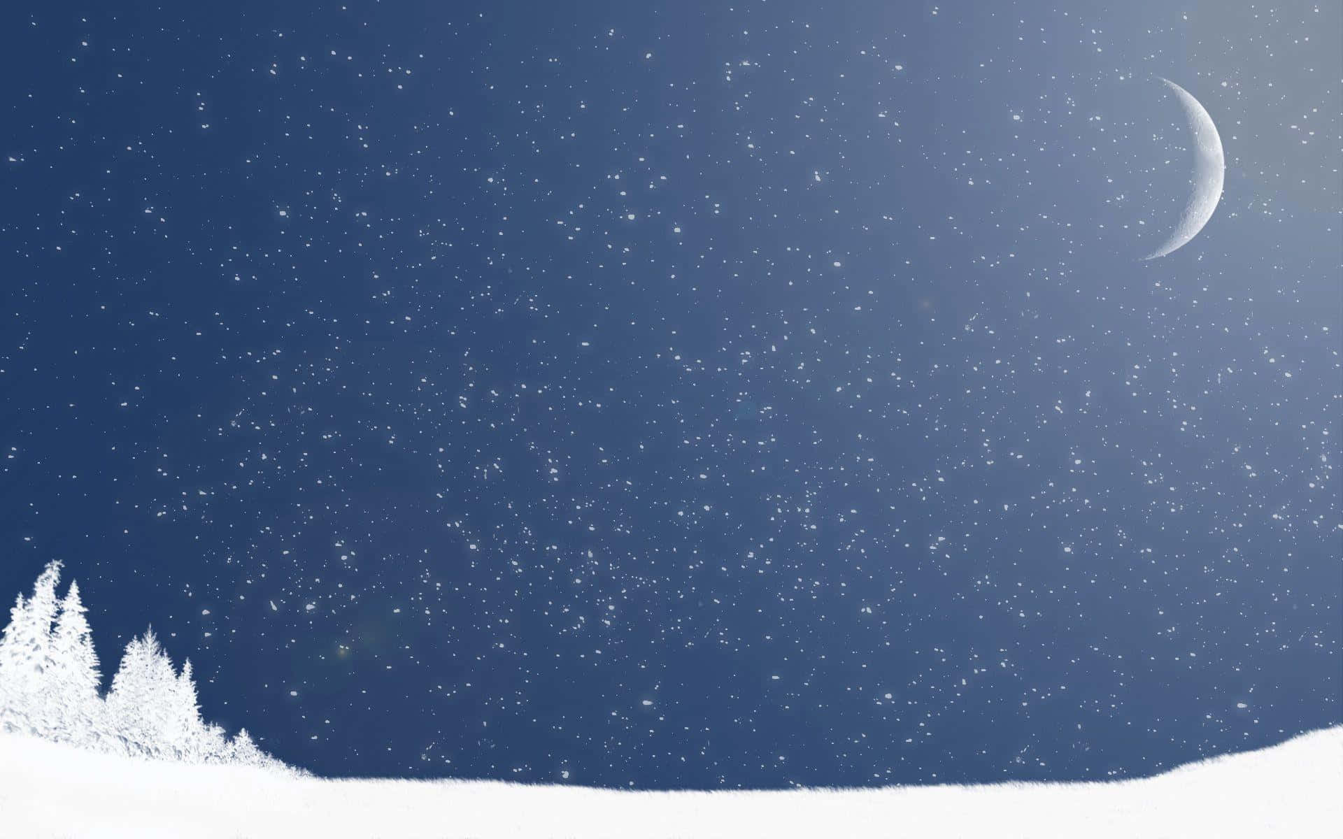 積雪的松樹在星空下，伴隨著一彎新月。