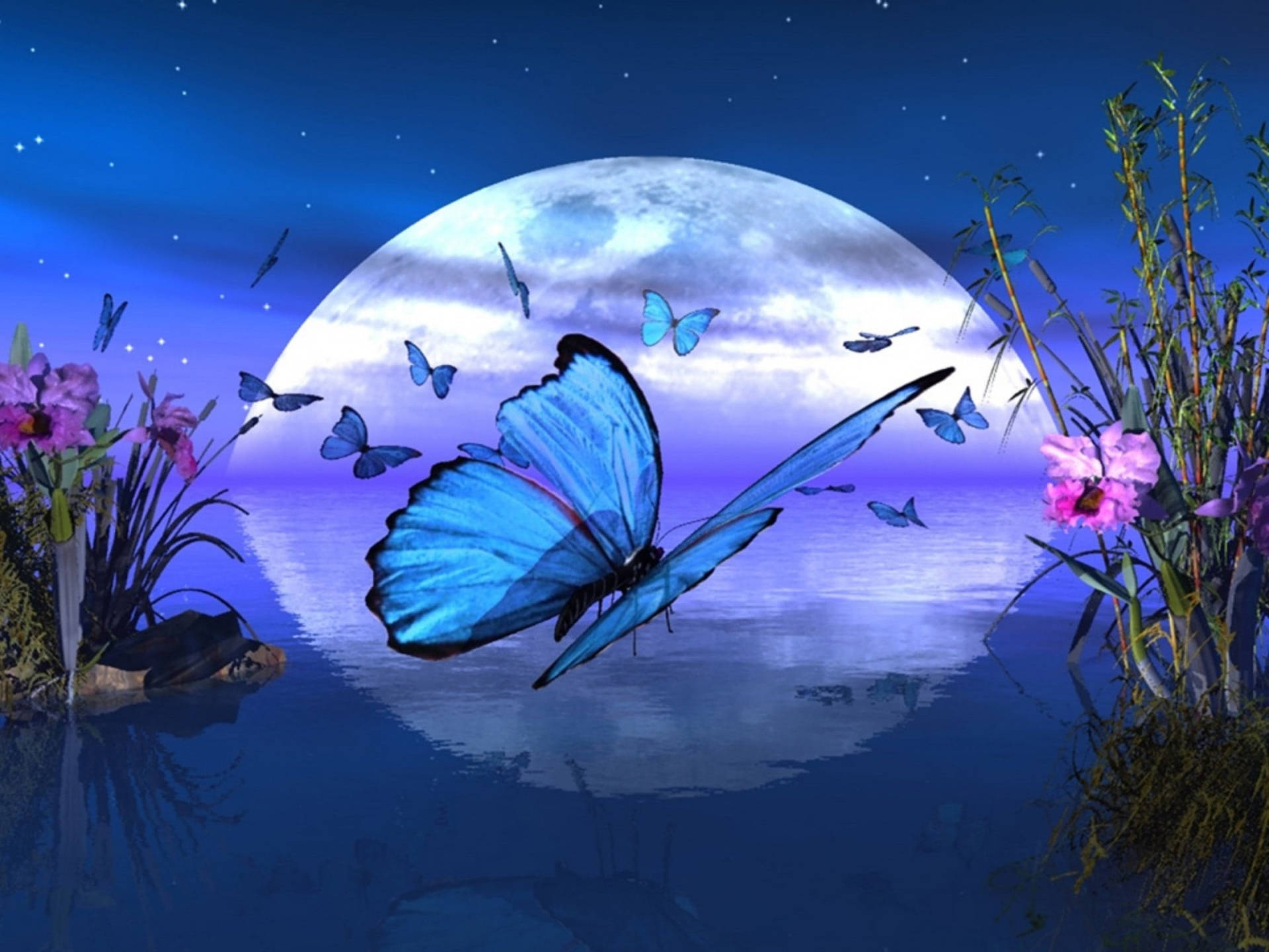 藍色蝴蝶在星空下飛過一個有粉紅色花朵和蘆葦的月光池塘。