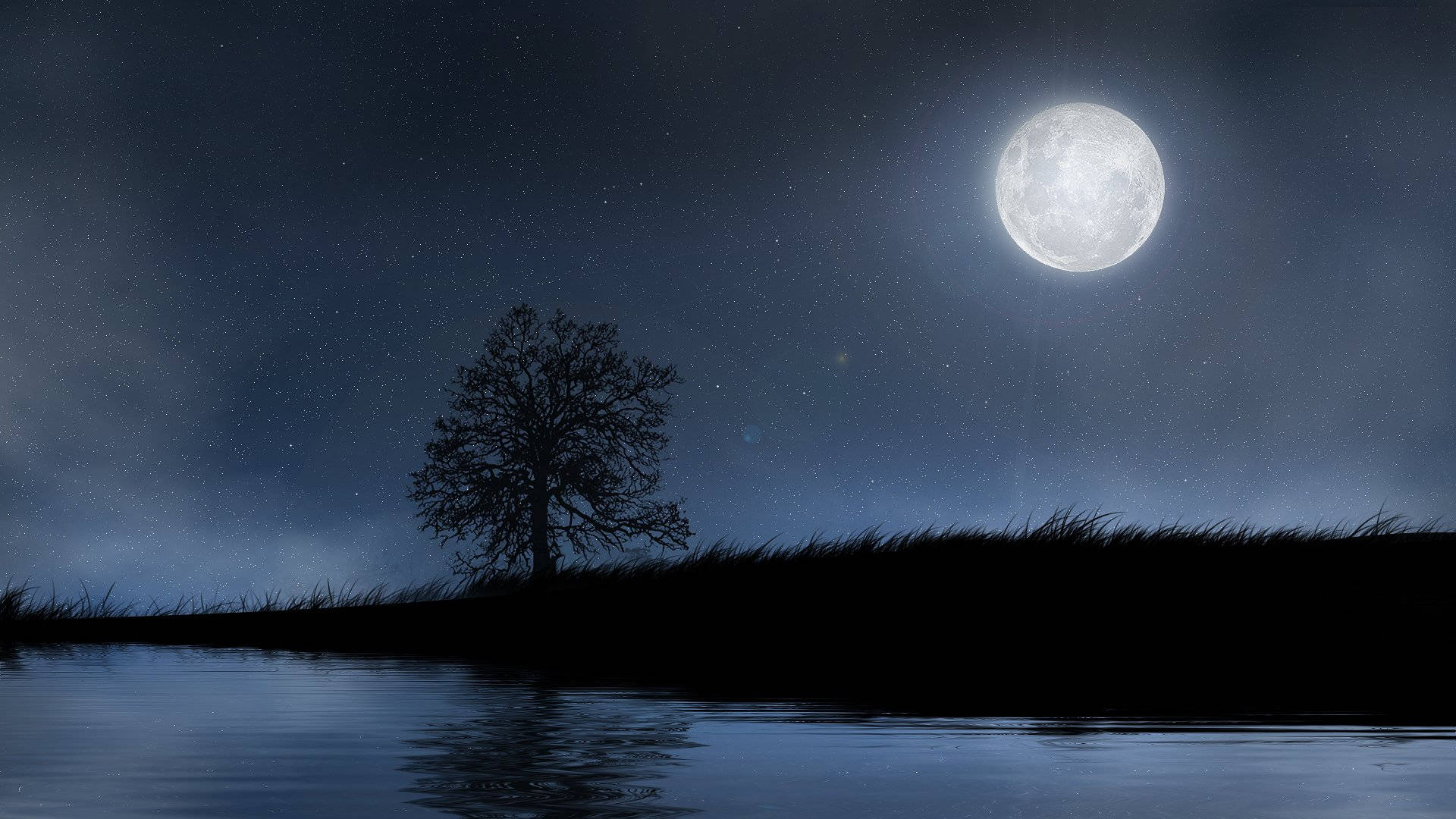 夜晚滿月下，水邊樹木的剪影。 — 月亮與星星動畫 壁紙