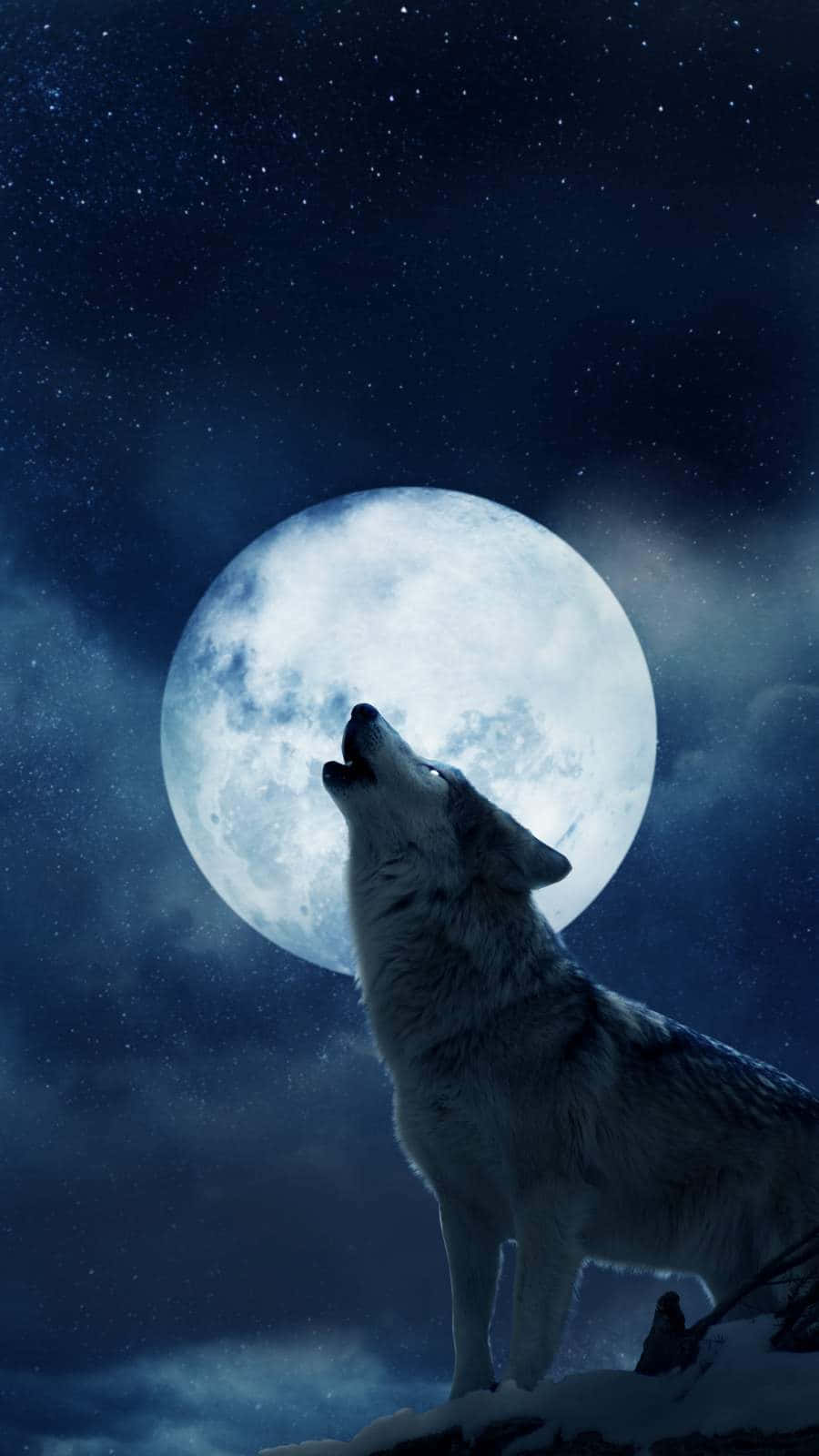 月球背景下的狼 iPhone 壁紙 — 一匹孤獨的狼對著廣闊星空中的巨大滿月嚎叫。