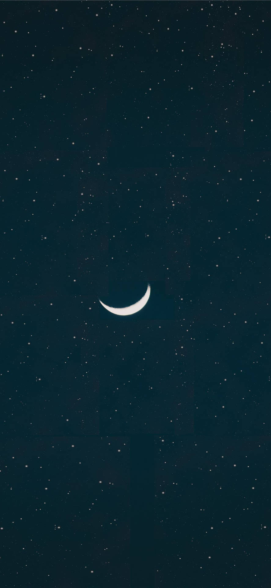 月牙在繁星點點的夜空中閃耀。