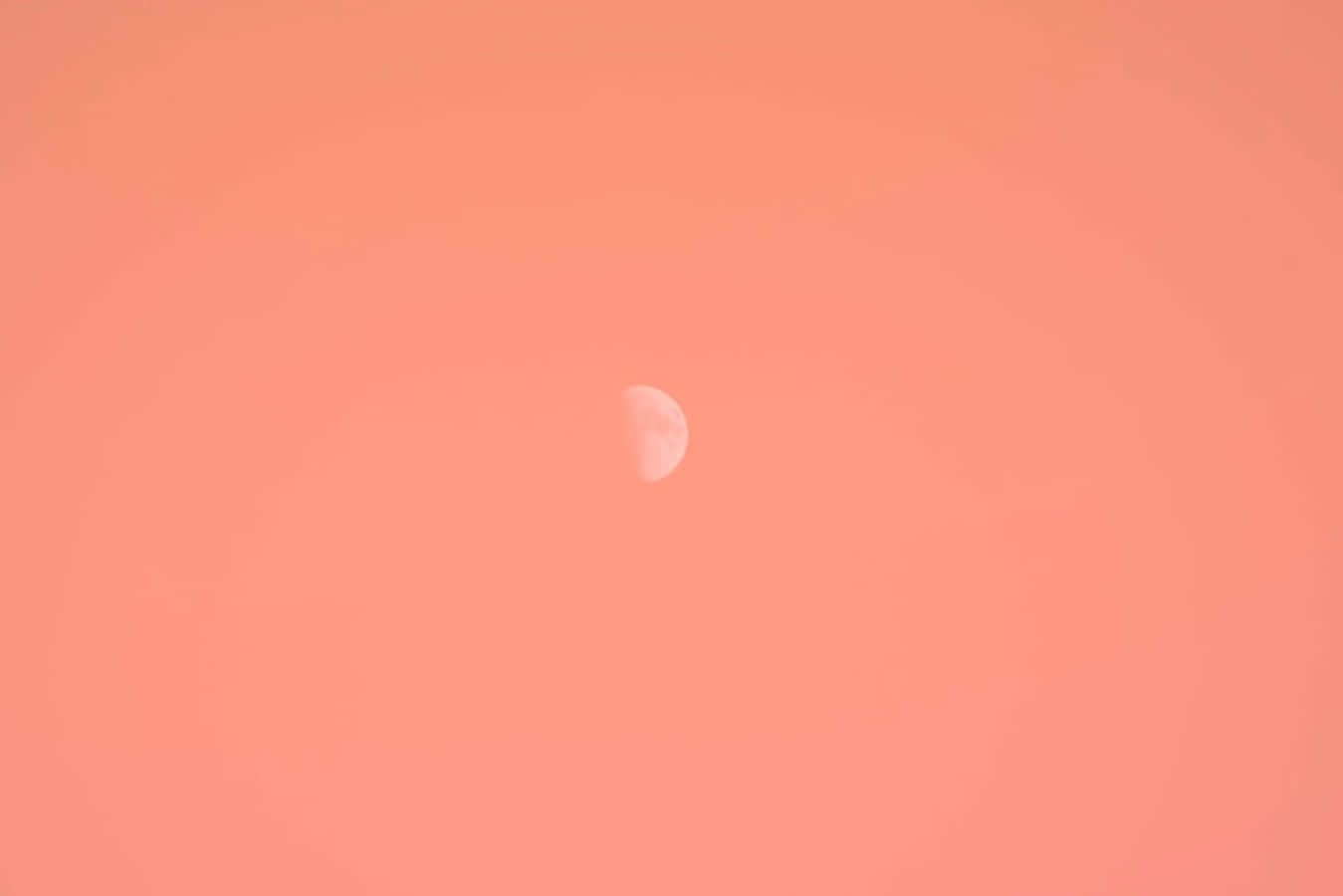 一彎月牙漂浮在蜜桃色的天空中。