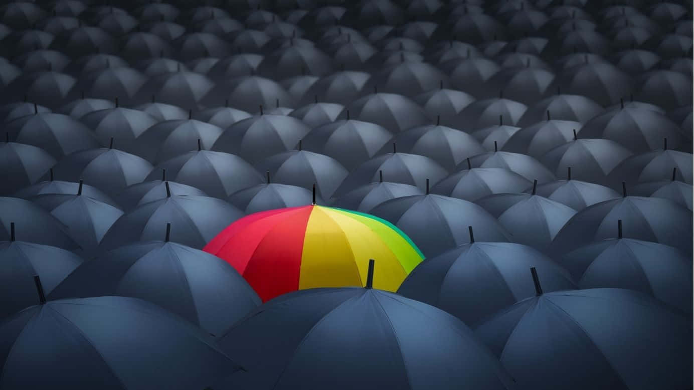 雨中眾多灰色傘中的一把彩色傘。