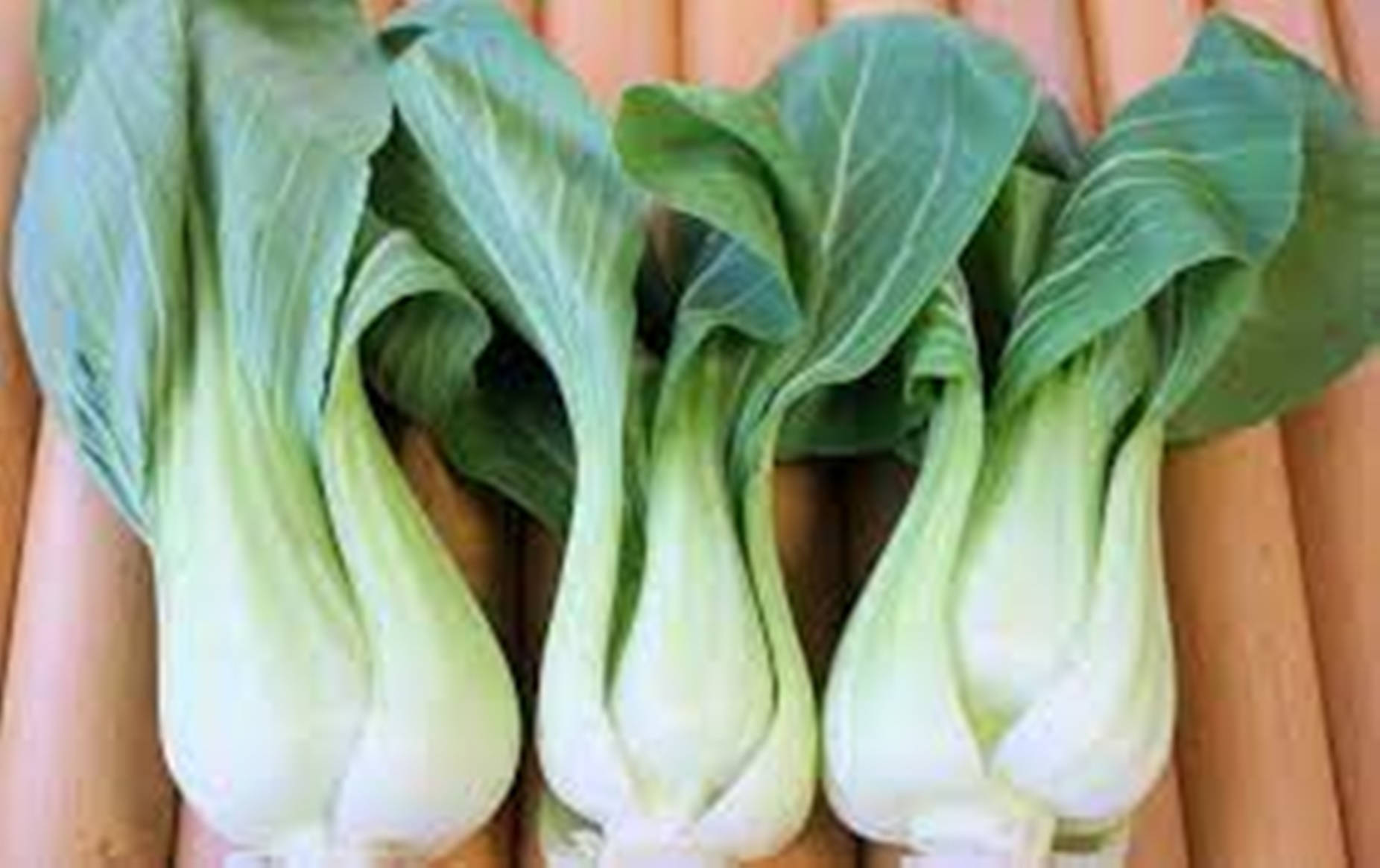 木面上三棵新鮮小白菜蔬菜