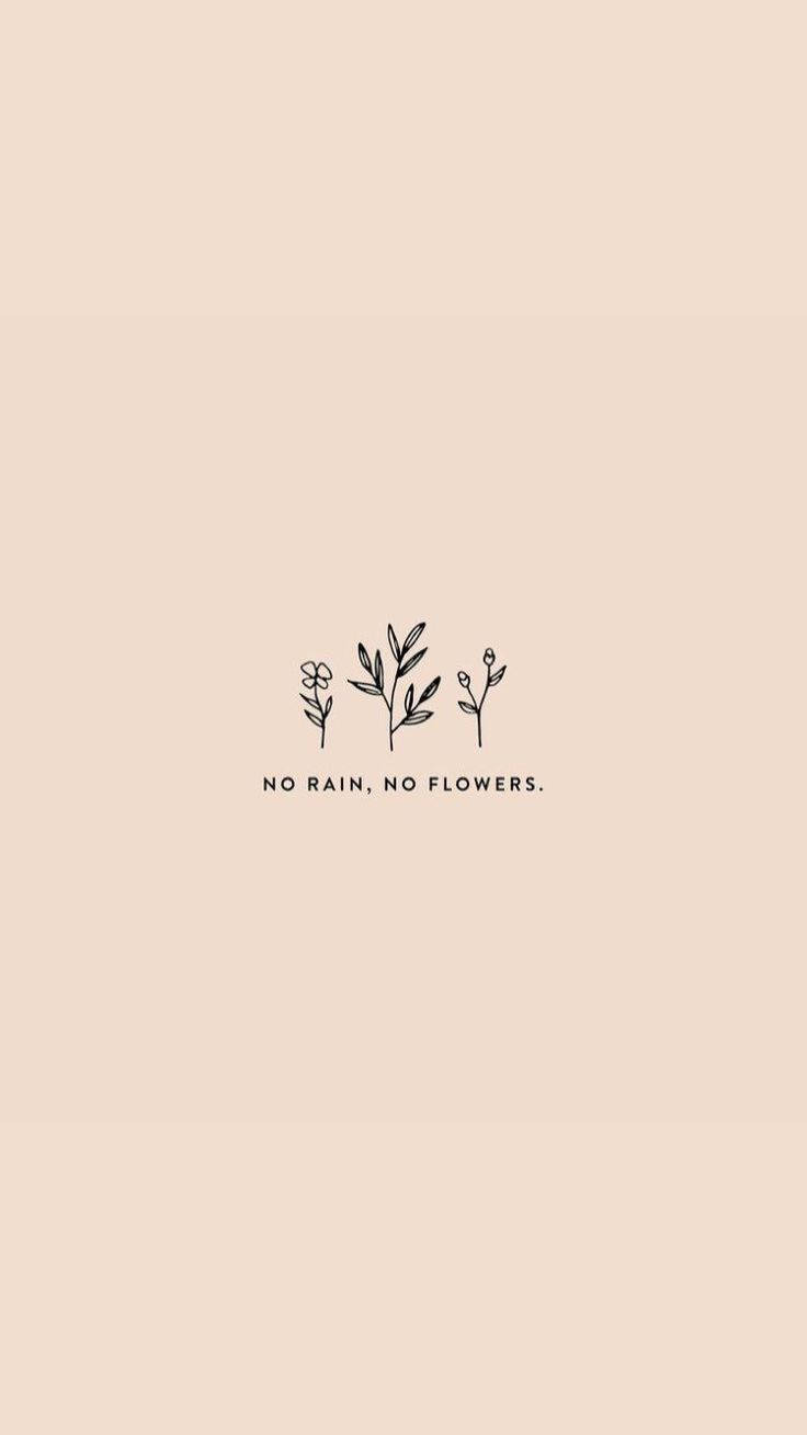 三棵線條畫植物，米色背景上有 no rain no flowers 文字