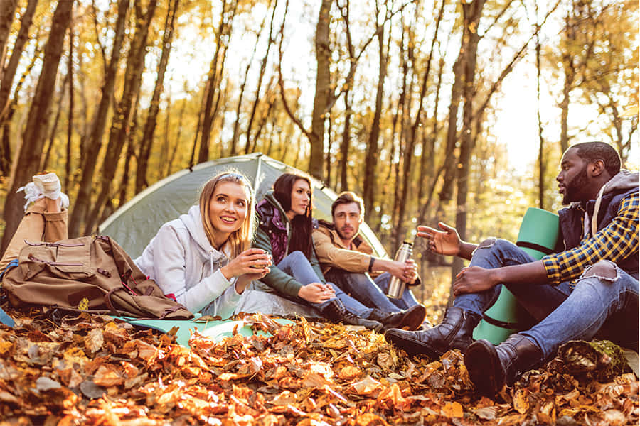 Fall Camping 桌布 壁紙 — 朋友們在陽光明媚的秋日森林中，圍著帳篷大笑聊天，地上鋪滿金黃色的落葉。