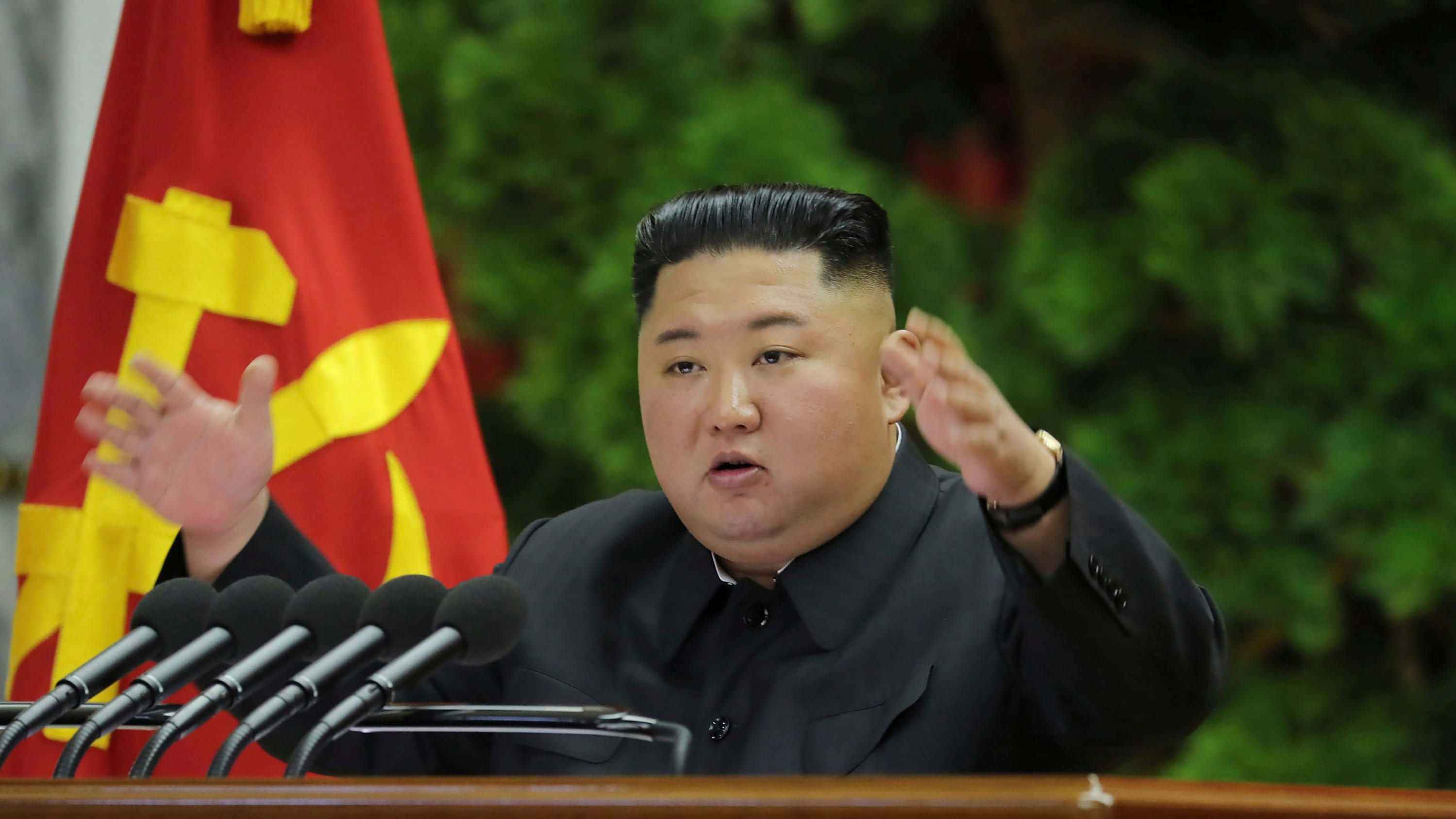 朝鮮領導人金正恩站在山頂俯瞰平壤天際線 壁紙 — 金正恩在帶有黃色鎚子與鐮刀的紅旗前，於設有咪高峰的講台上強烈地做手勢發言。