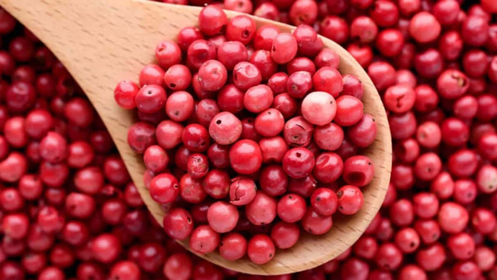 Pink Peppercorn 桌布 壁紙 — 木勺盛滿鮮紅胡椒粒，置於一片相似漿果的海洋中。