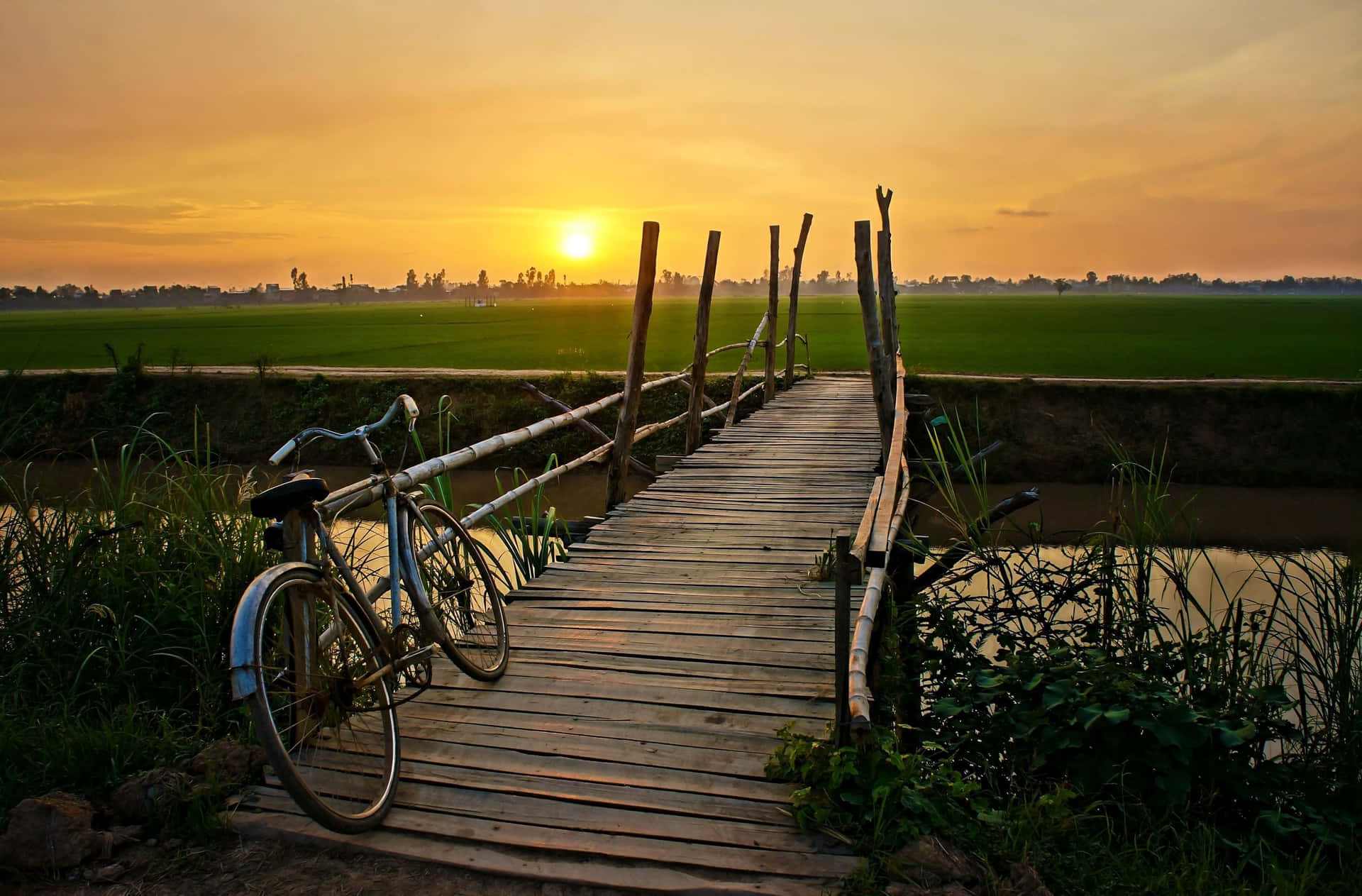 夕陽下，一輛單車停放在運河上的木橋上，背景是稻田。