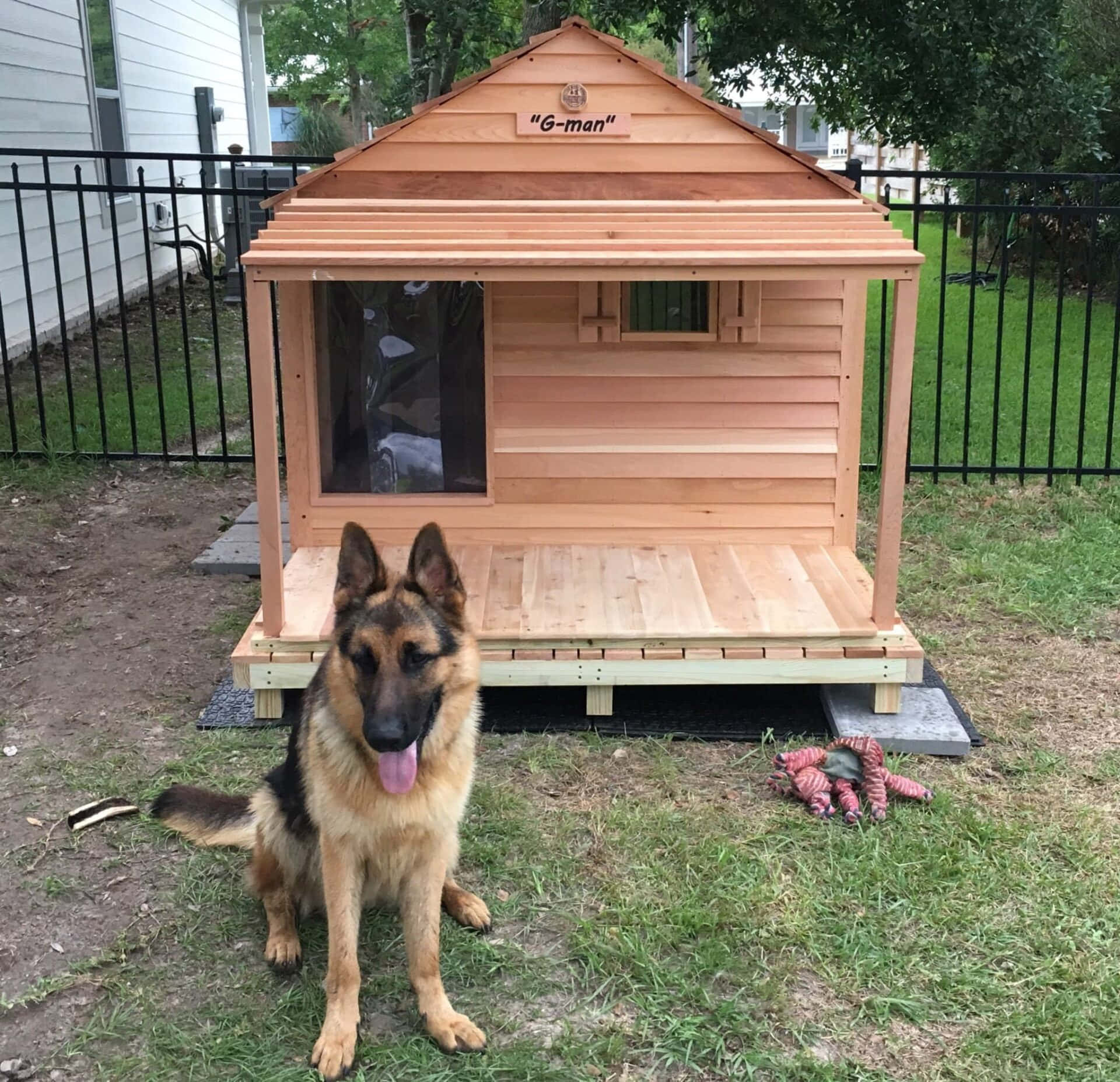 木製狗屋圖片 壁紙 — 一隻德國牧羊犬自豪地坐在後院草地上一個標有「G-man」的定制木製狗屋前。