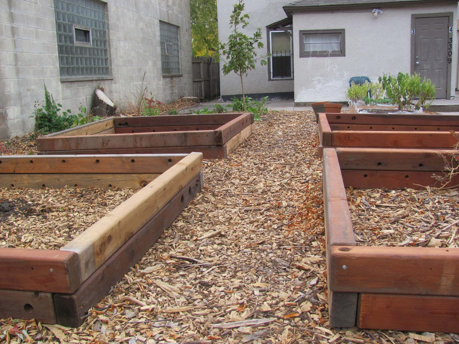 Garden Bed 桌布 壁紙 — 木製高架花圃床內填滿覆蓋物，位於後院，旁邊是混凝土和灰泥牆的房子。