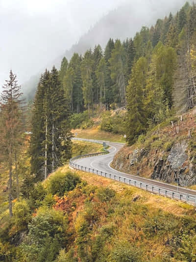 蜿蜒的山路穿過秋葉森林，霧氣瀰漫的山丘。