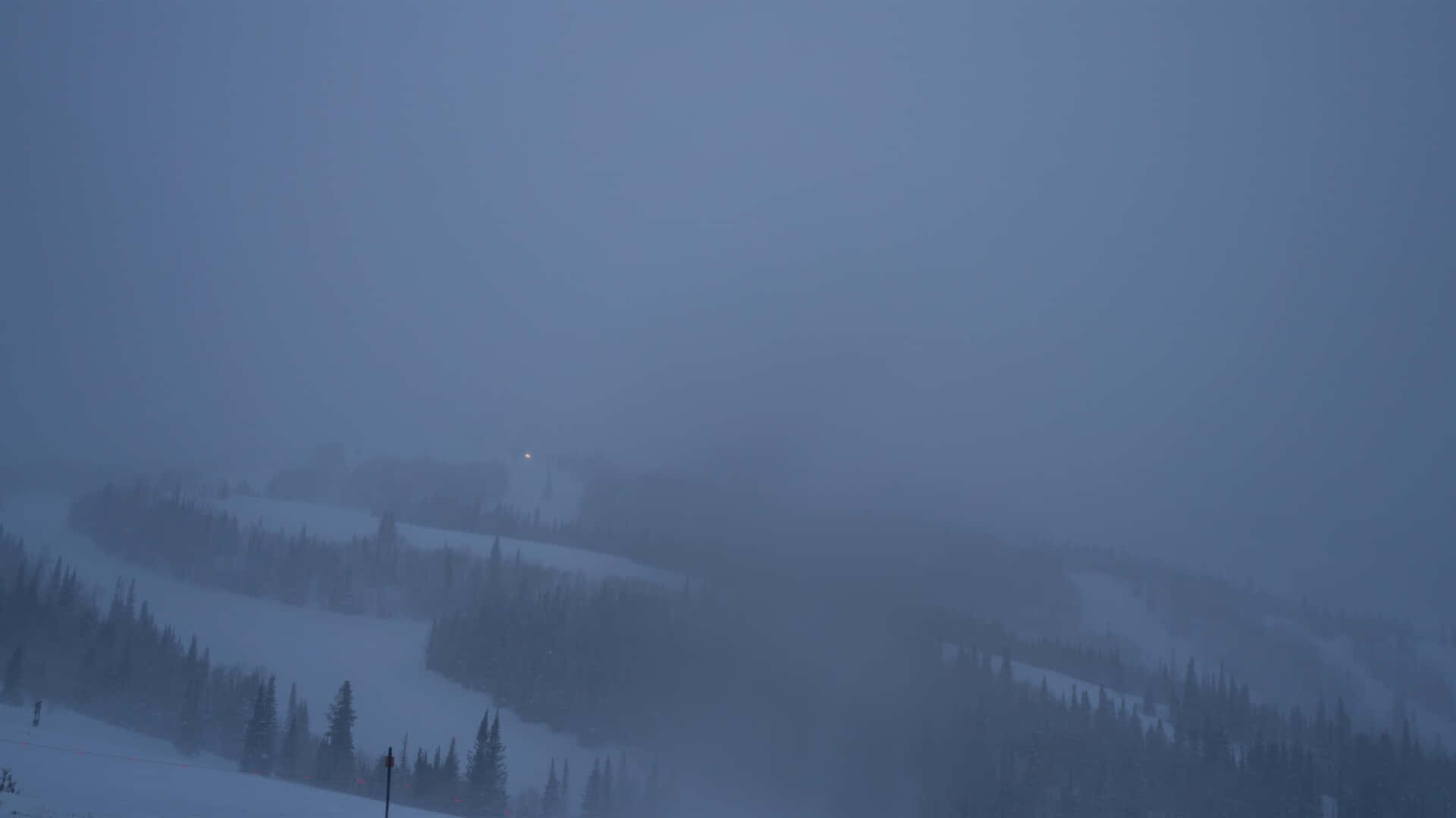 被霧籠罩的雪山斜坡，有常青樹和遠處的滑雪道燈光。
