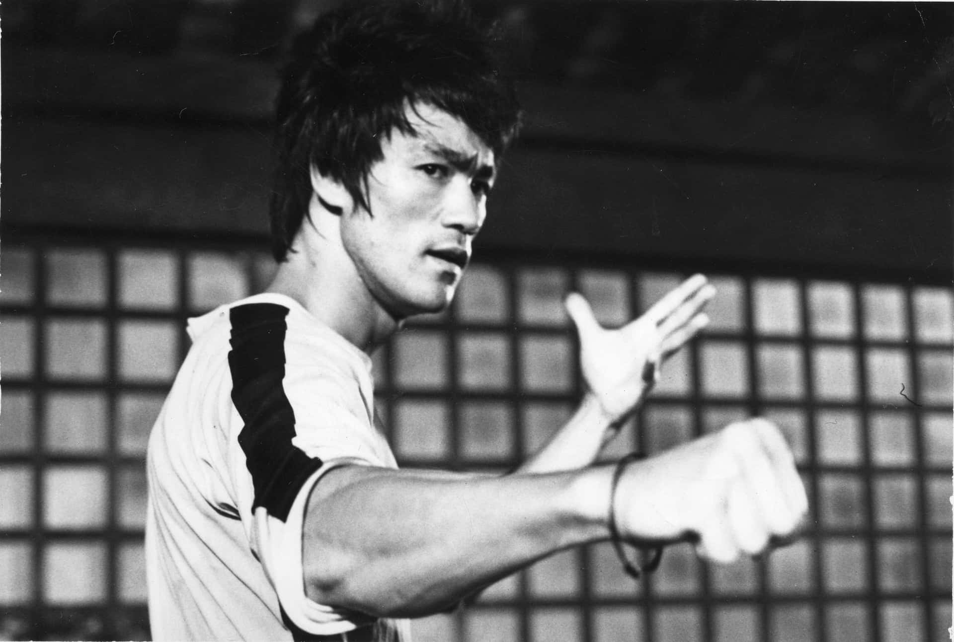 李小龍在黑白照片中展示武術姿勢。 — 李小龍 壁紙