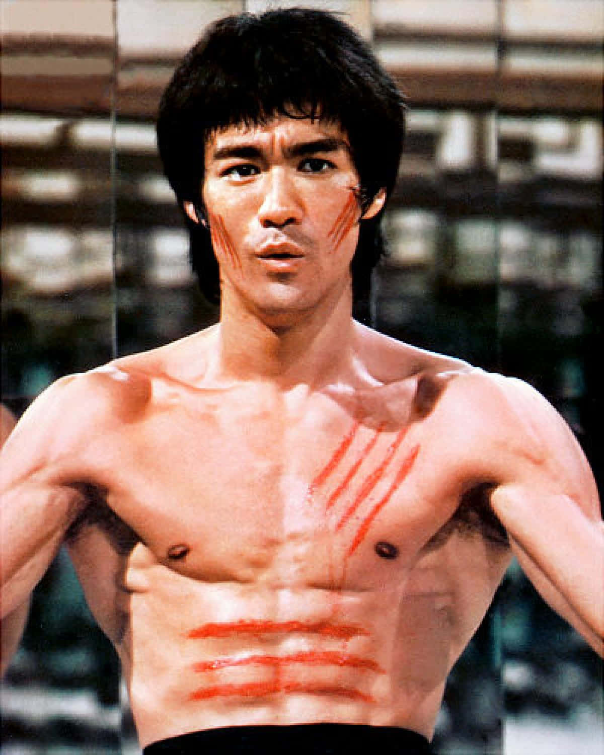 李小龍胸口和臉頰上有紅色劃痕，擺出武術姿勢。 — 李小龍 壁紙