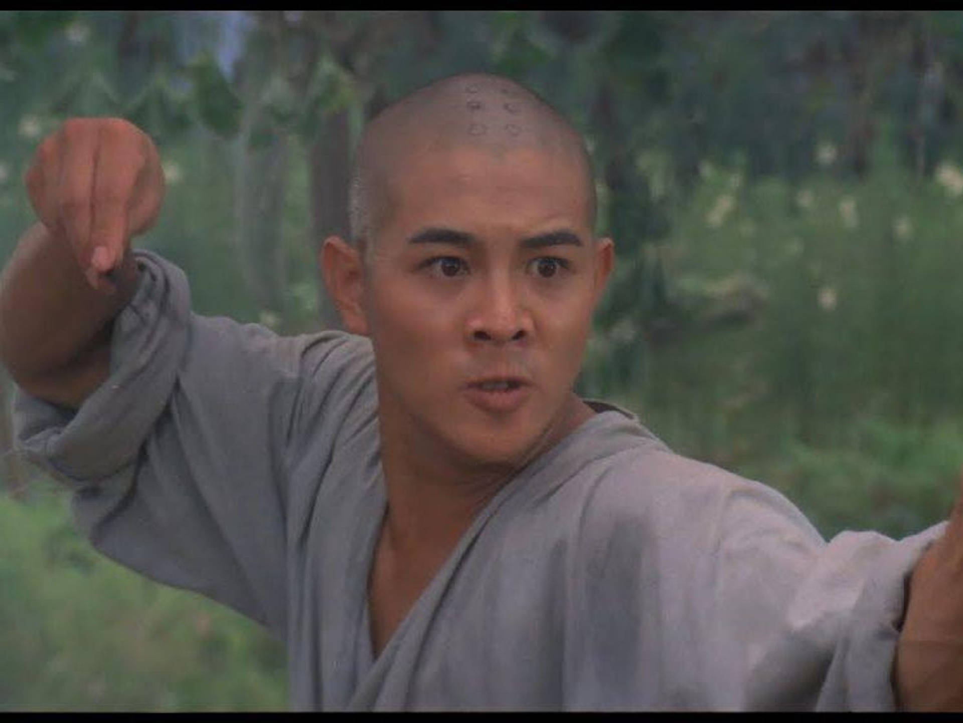 灰色長袍武術家在森林中練習功夫