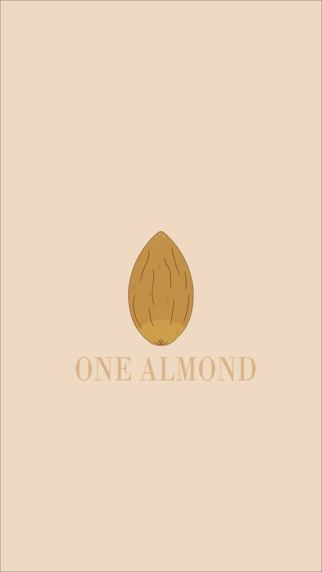 一個杏仁的插圖，下方有文字 one almond。