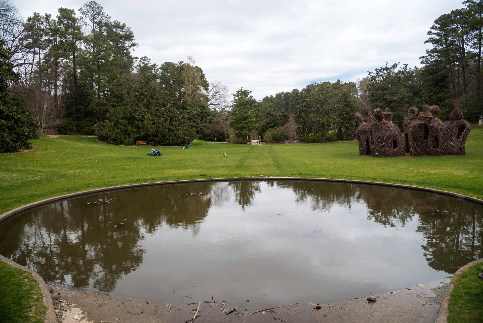公園裡一個寧靜的池塘，有一個大型樹枝雕塑，人們在草地上放鬆。