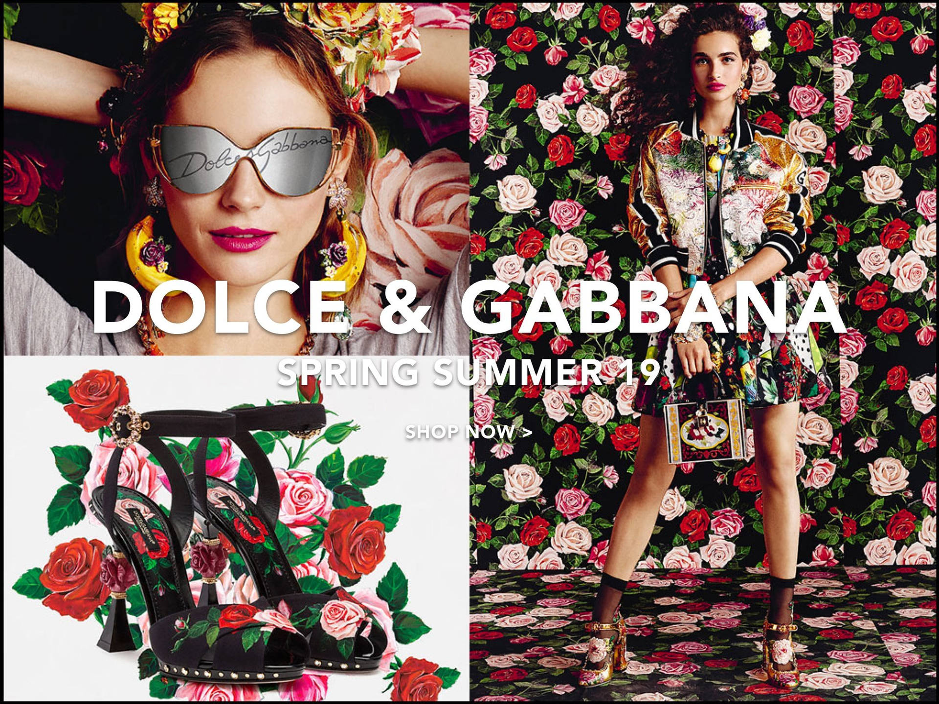 模特兒穿著 Dolce & Gabbana 花卉時尚，與玫瑰和太陽眼鏡擺姿勢。