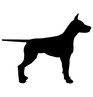 杜賓犬剪影