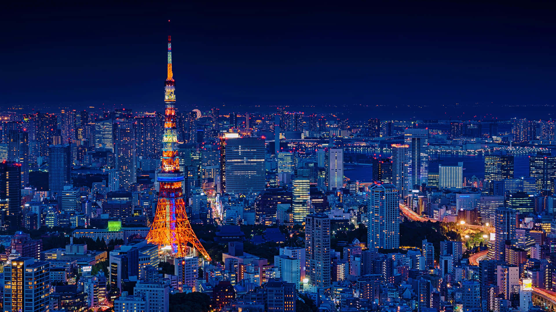 夜晚點亮的東京塔及下方的城市燈光