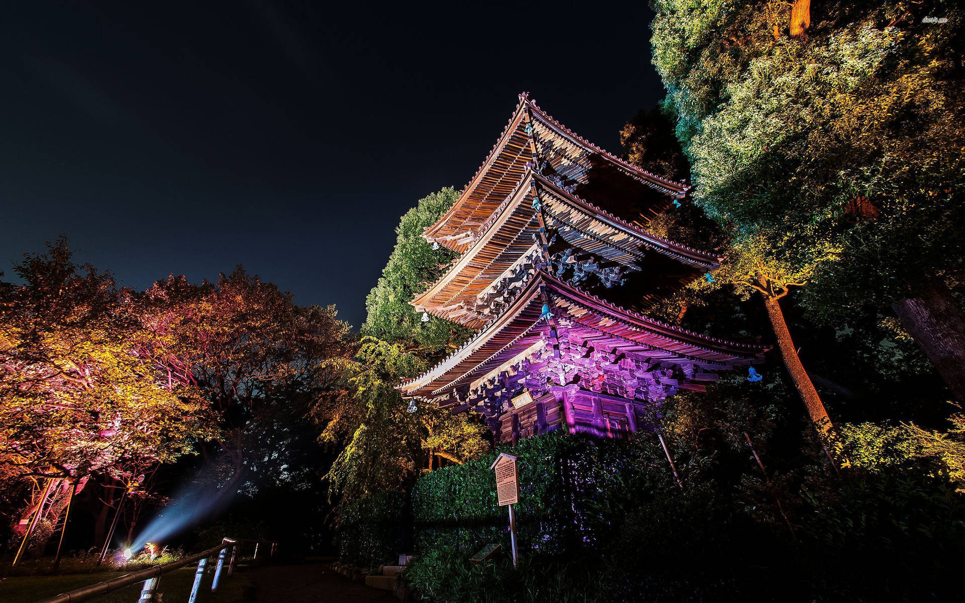 夜晚發光的日本寺廟，周圍環繞著被照亮的樹木。