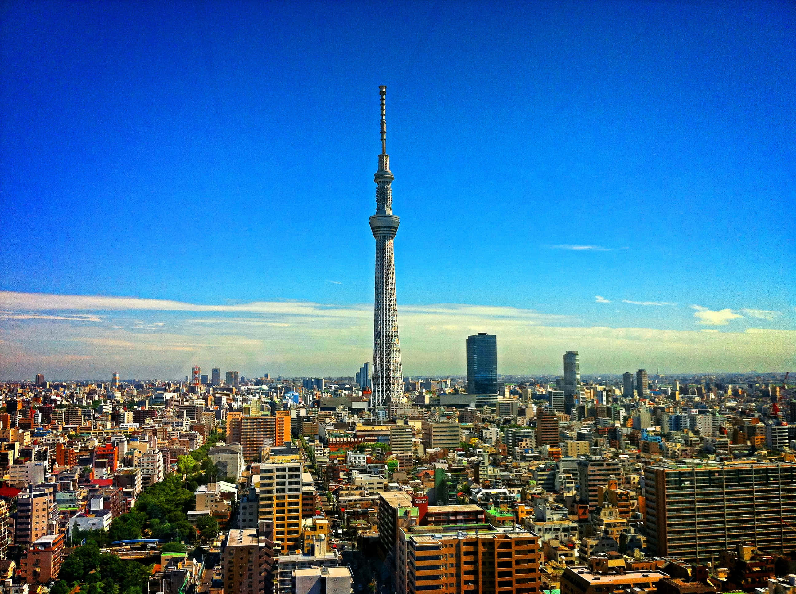 東京 桌布 壁紙 — 東京晴空塔刺穿充滿活力的藍天，下方是色彩繽紛的建築和遠處摩天大樓組成的廣闊都市叢林。
