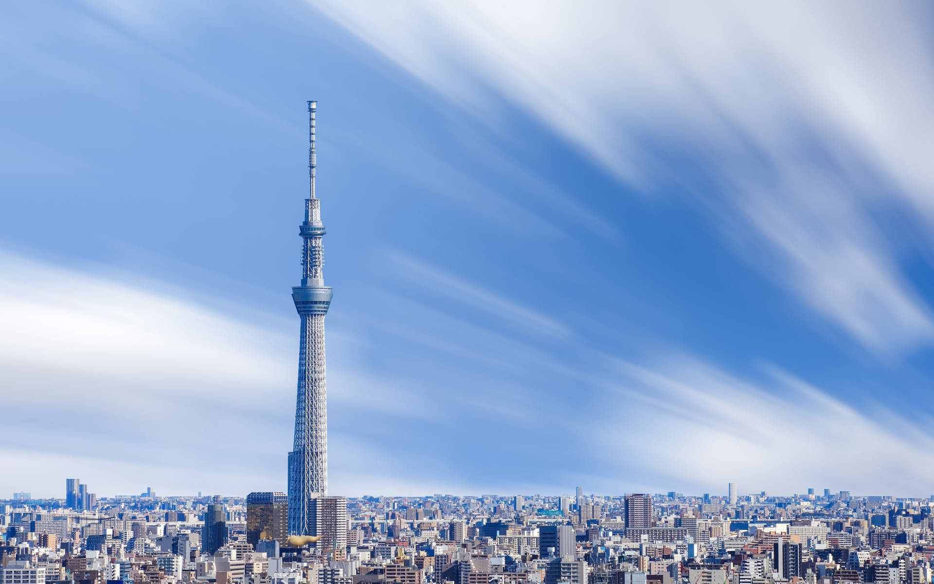 東京晴空塔高聳入雲 壁紙 — 東京晴空塔刺穿了一片充滿活力的藍天，天空中有縷縷薄雲，下方是廣闊的城市天際線。