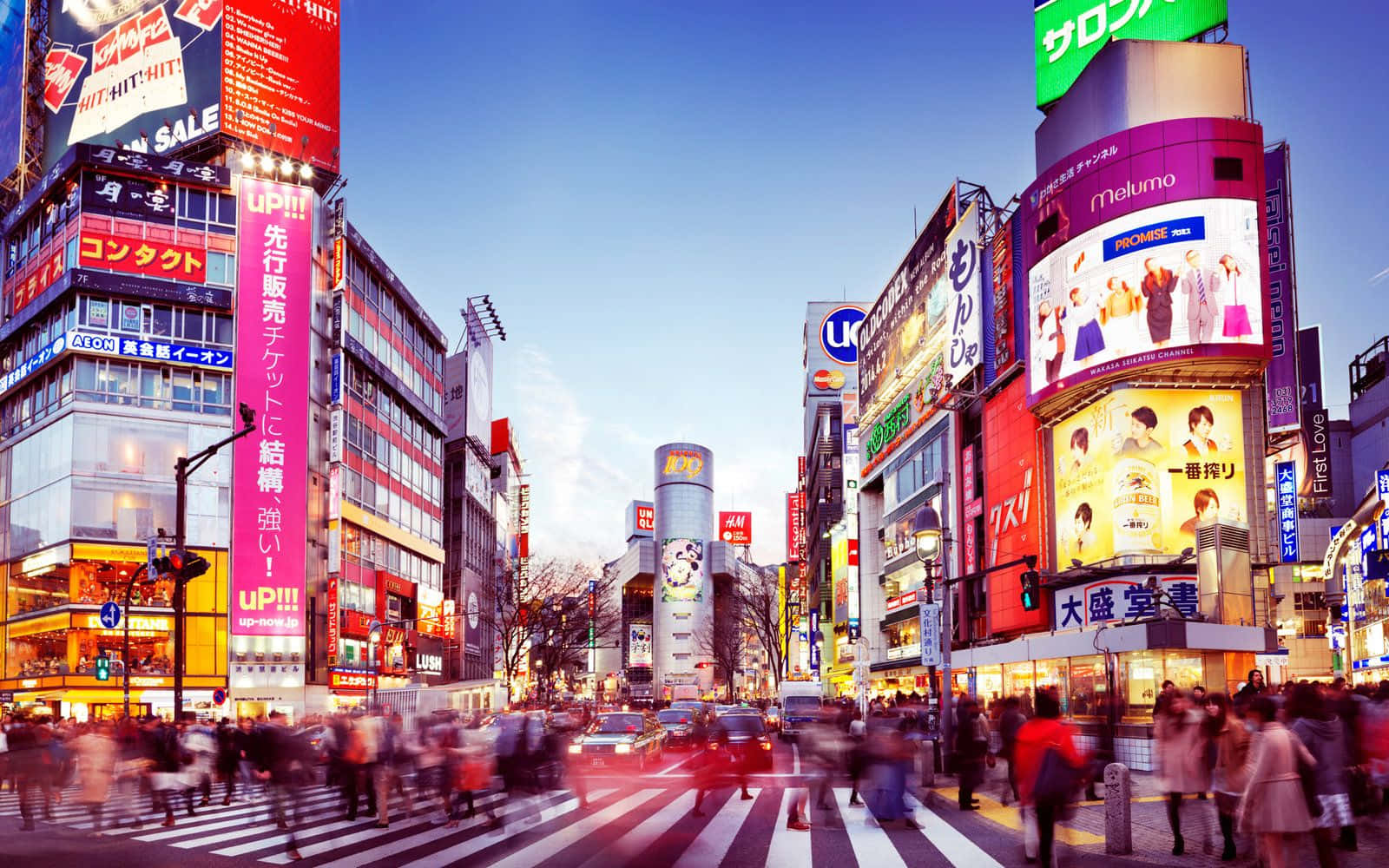 東京澀谷十字路口模糊背景 壁紙 — 黃昏時分充滿活力的東京街道，閃爍的霓虹燈招牌和模糊的行人穿過繁忙的十字路口。