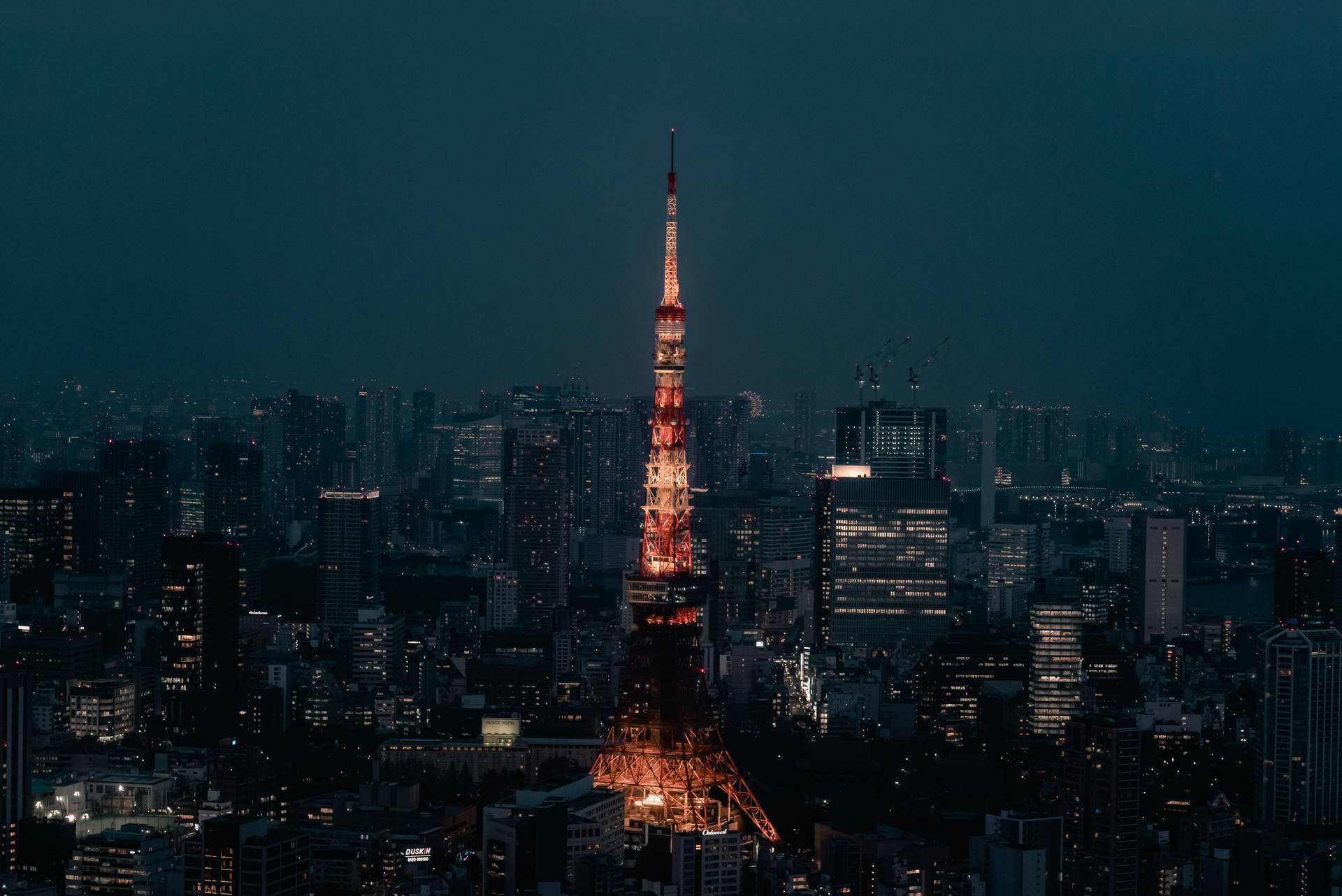 東京鐵塔對比暗夜天際 壁紙 — 東京塔在夜晚黑暗的城市景觀中溫暖地發光，周圍的摩天大樓被環境城市燈光照亮。