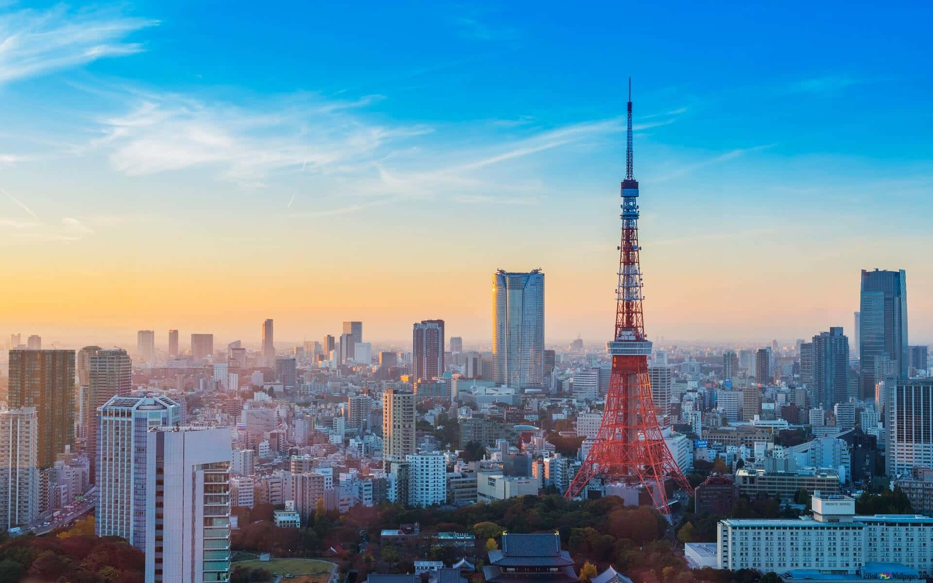 東京鐵塔日出時分 壁紙 — 東京鐵塔在充滿活力的日落天空下，聳立在擁有現代摩天大樓和秋樹的廣闊城市天際線之上。