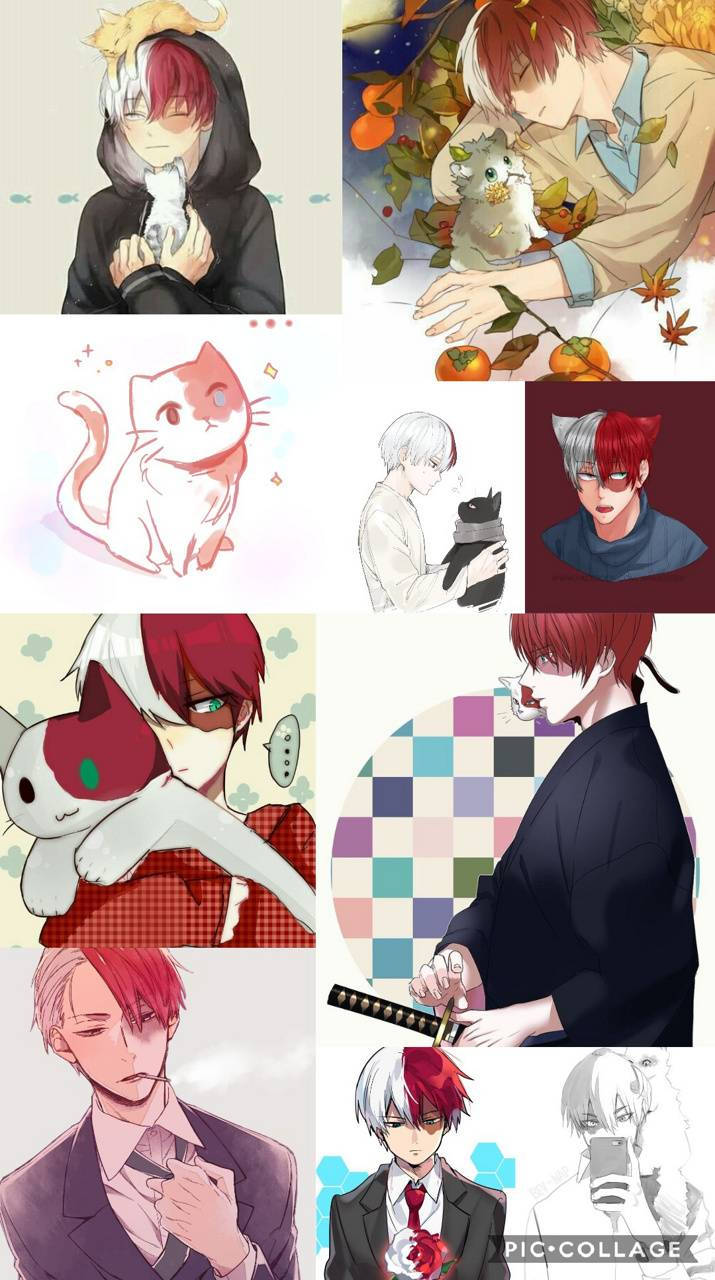 東方持花可愛貓咪 壁紙 — 一幅動漫風格插圖的拼貼畫，描繪紅髮和白髮角色與貓咪在舒適多彩的場景中。