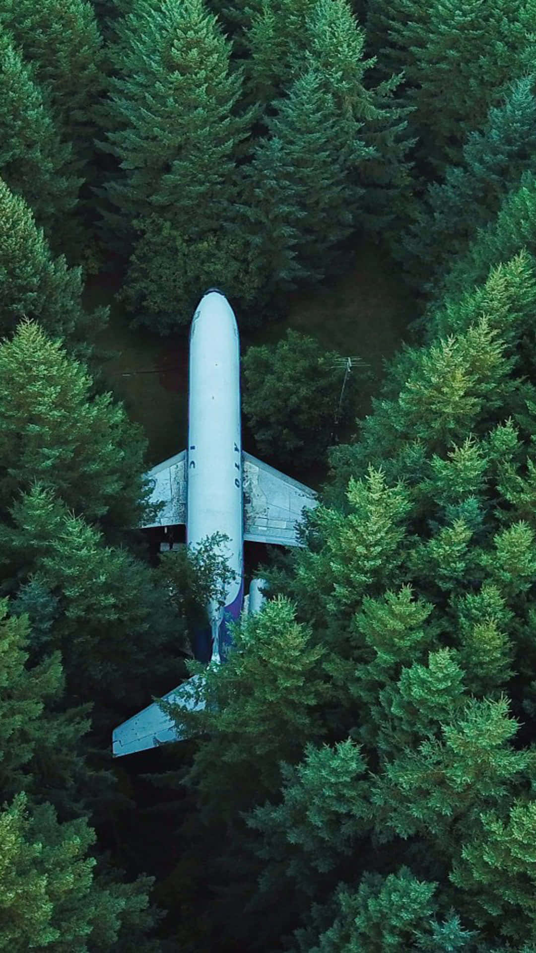 松林中的飛機 Android 飛機背景 壁紙 — 從空中俯瞰，一架失事飛機倒置在茂密的綠色松樹林中。